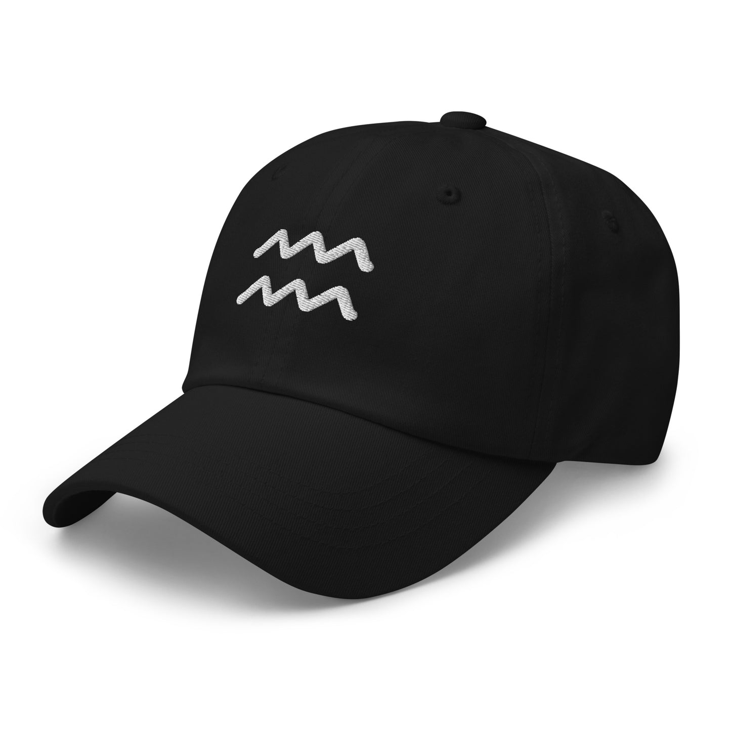 Essential Aquarius Hat