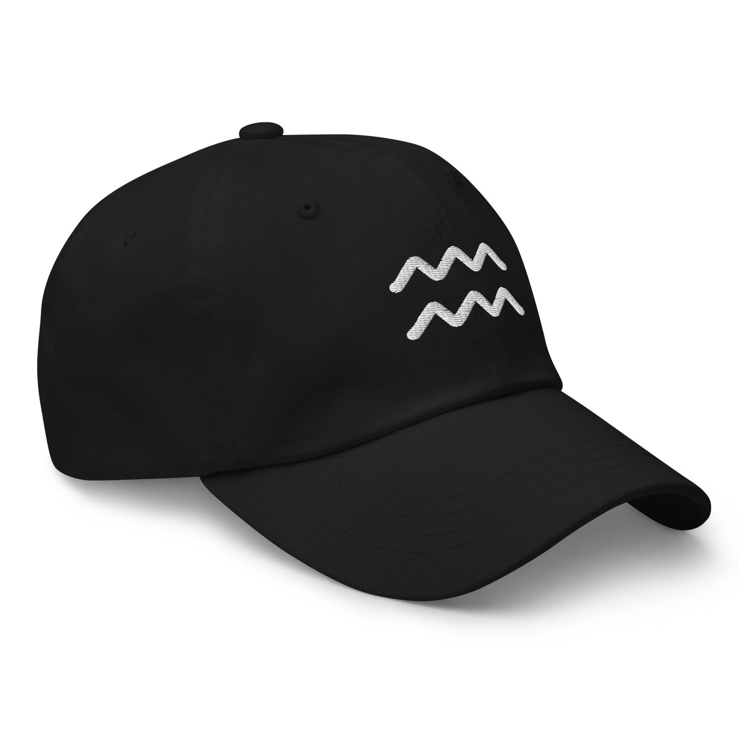 Essential Aquarius Hat