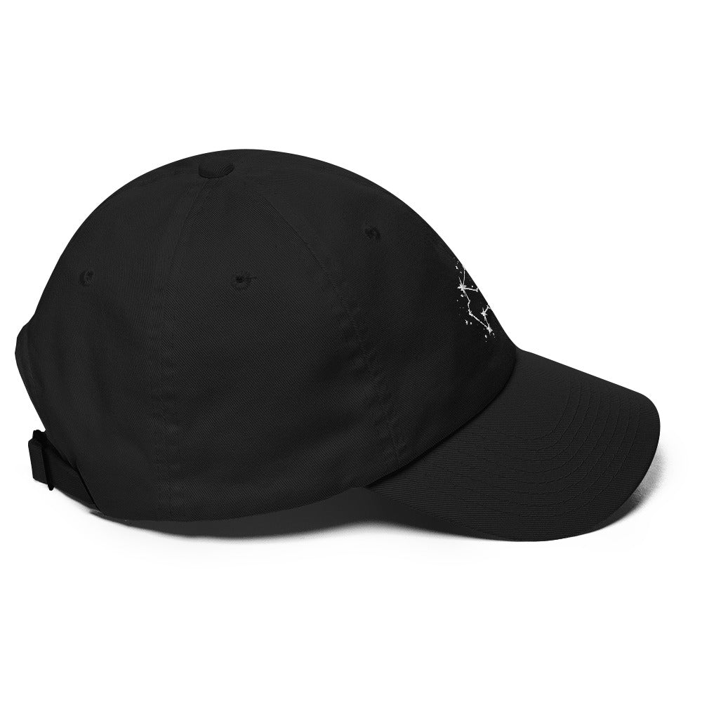 Aquarius Constellation Hat