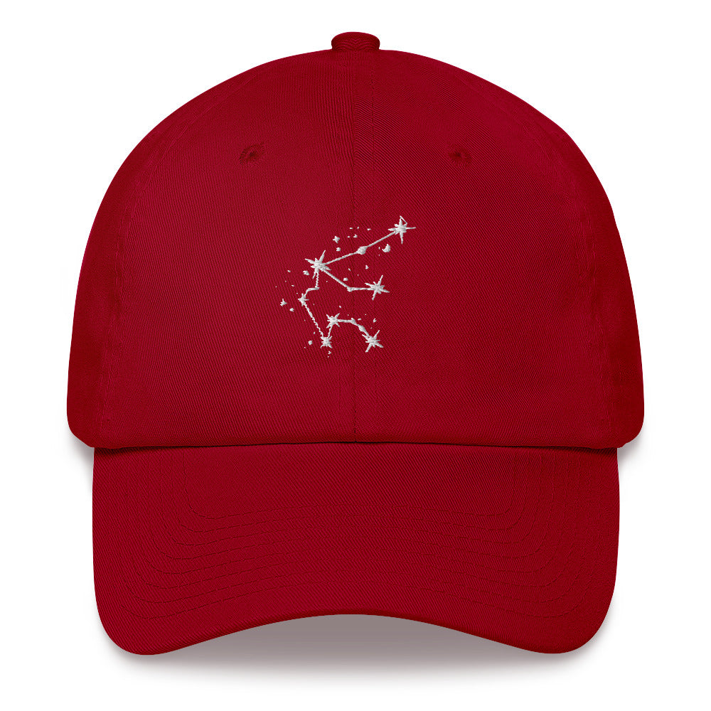 Aquarius Constellation Hat