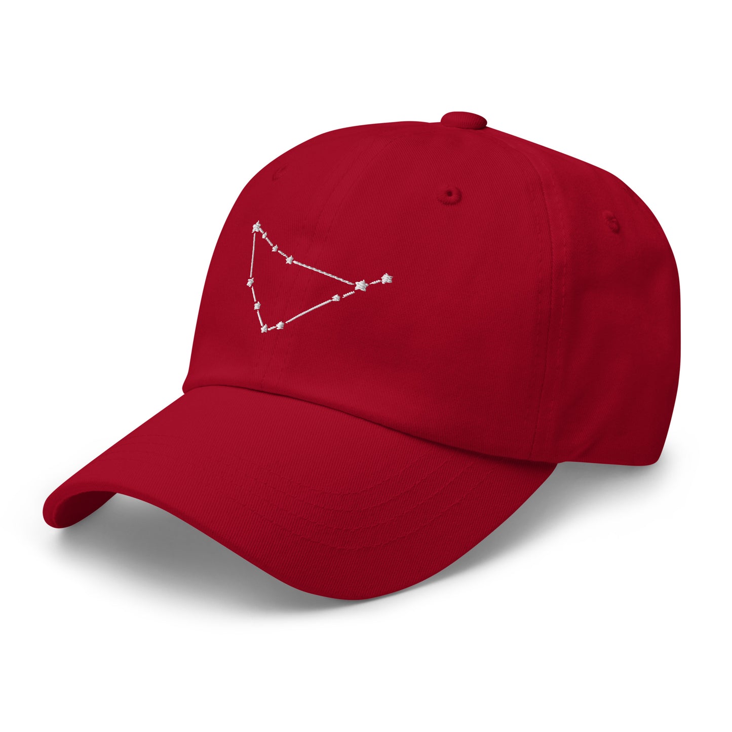 Capricorn Constellation Hat