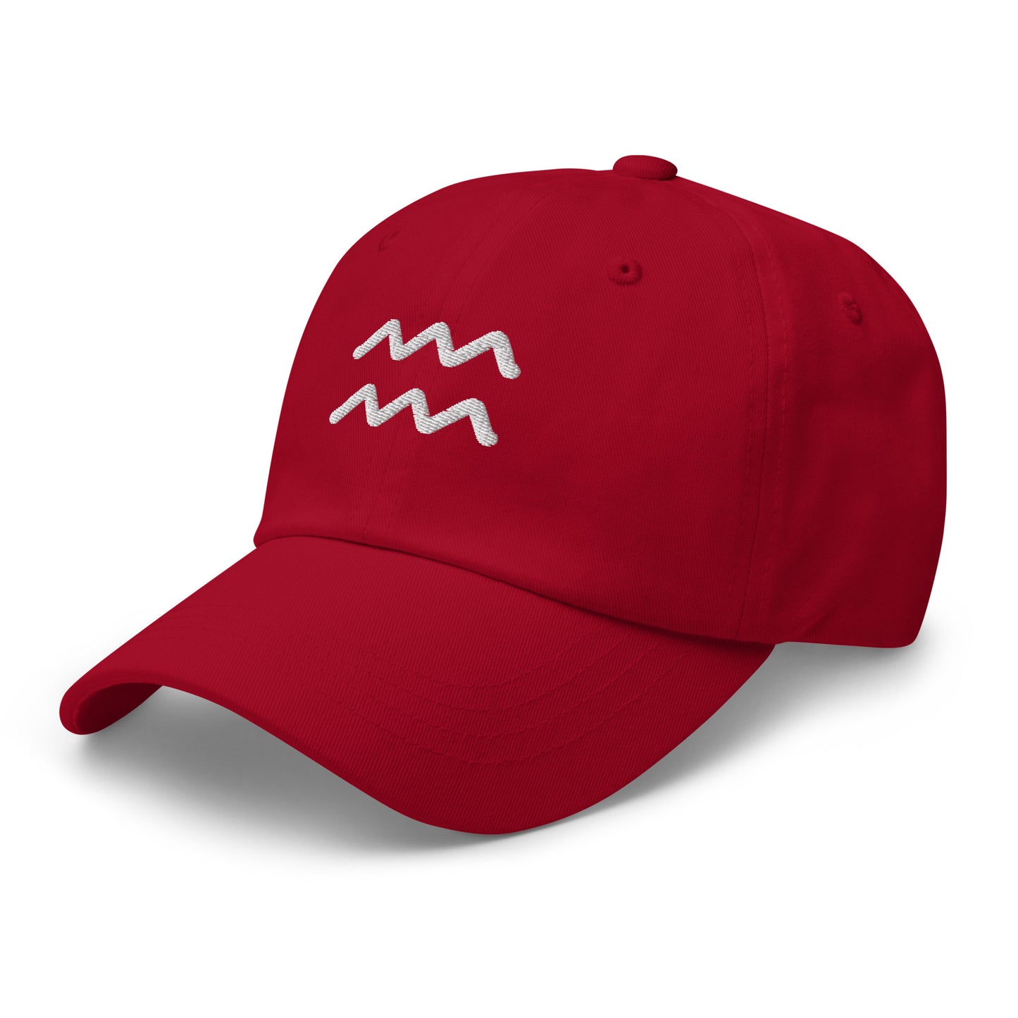Essential Aquarius Hat