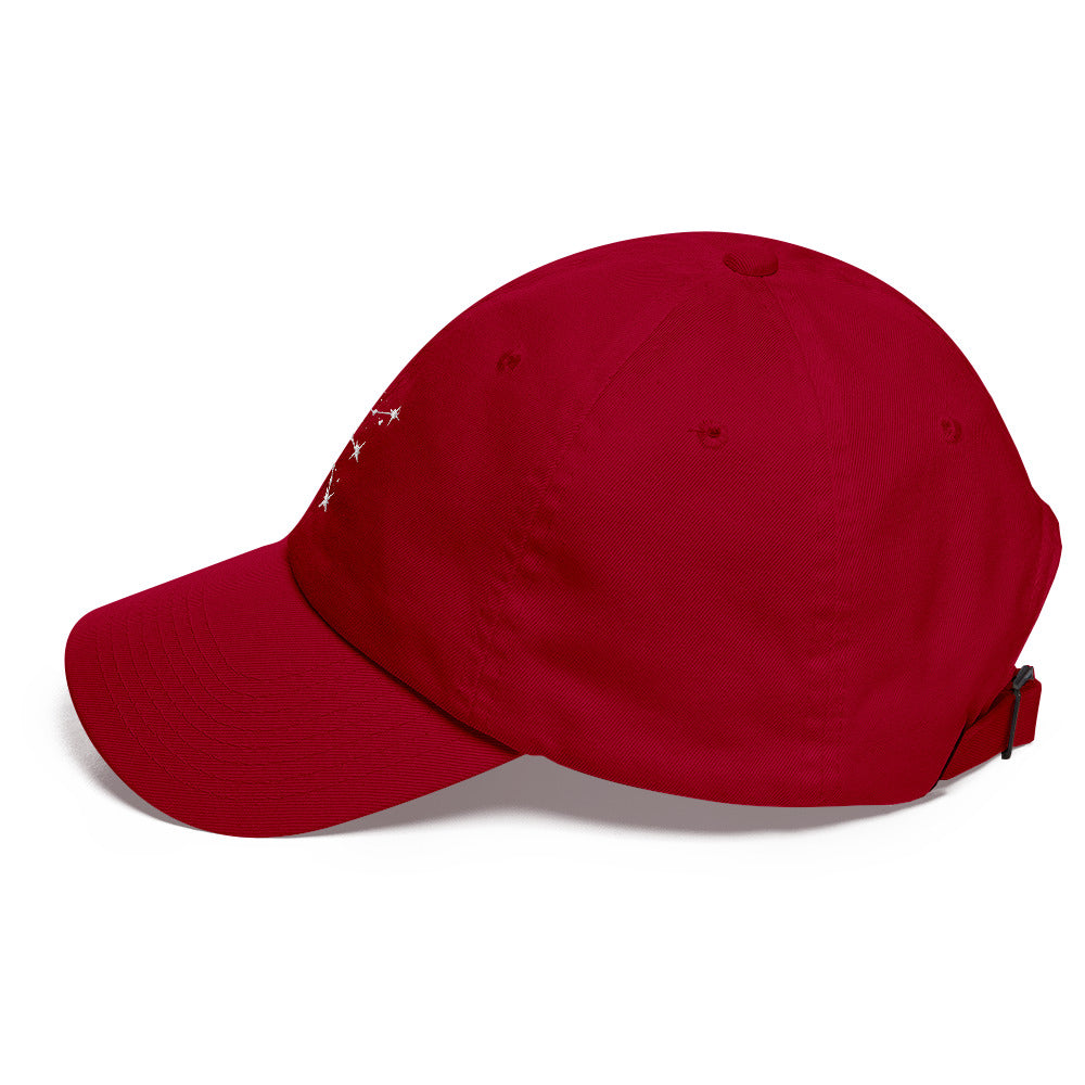 Aquarius Constellation Hat
