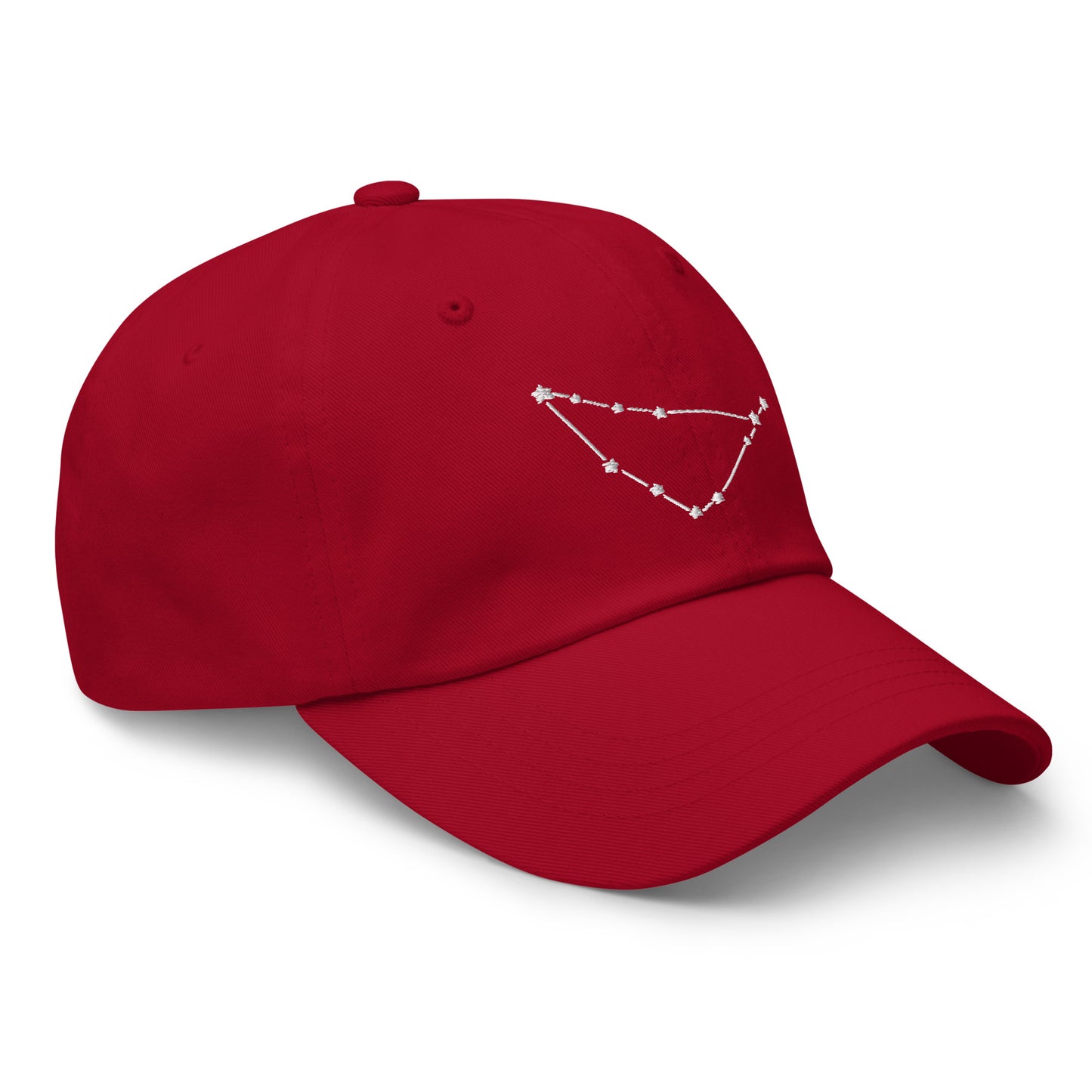 Capricorn Constellation Hat