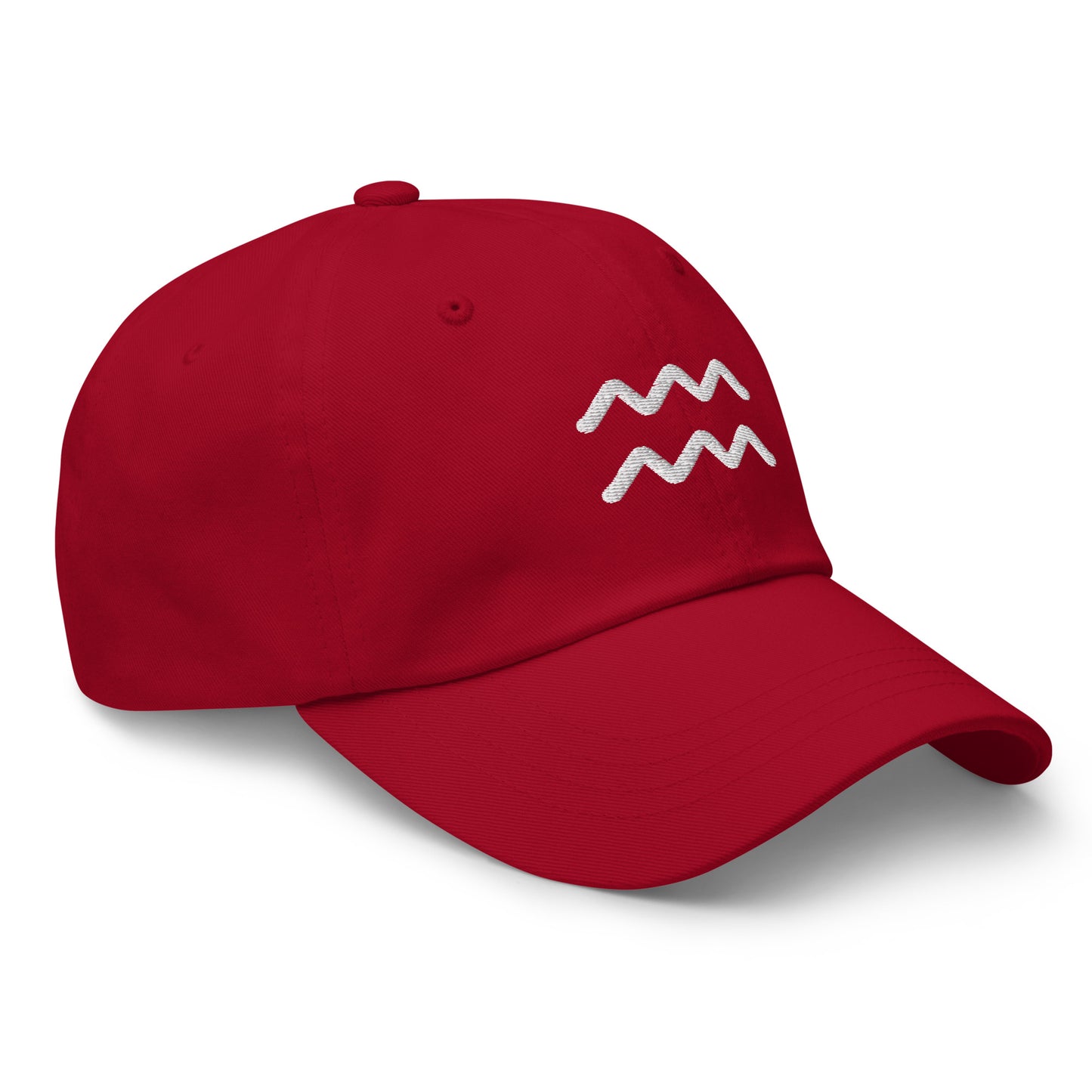 Essential Aquarius Hat