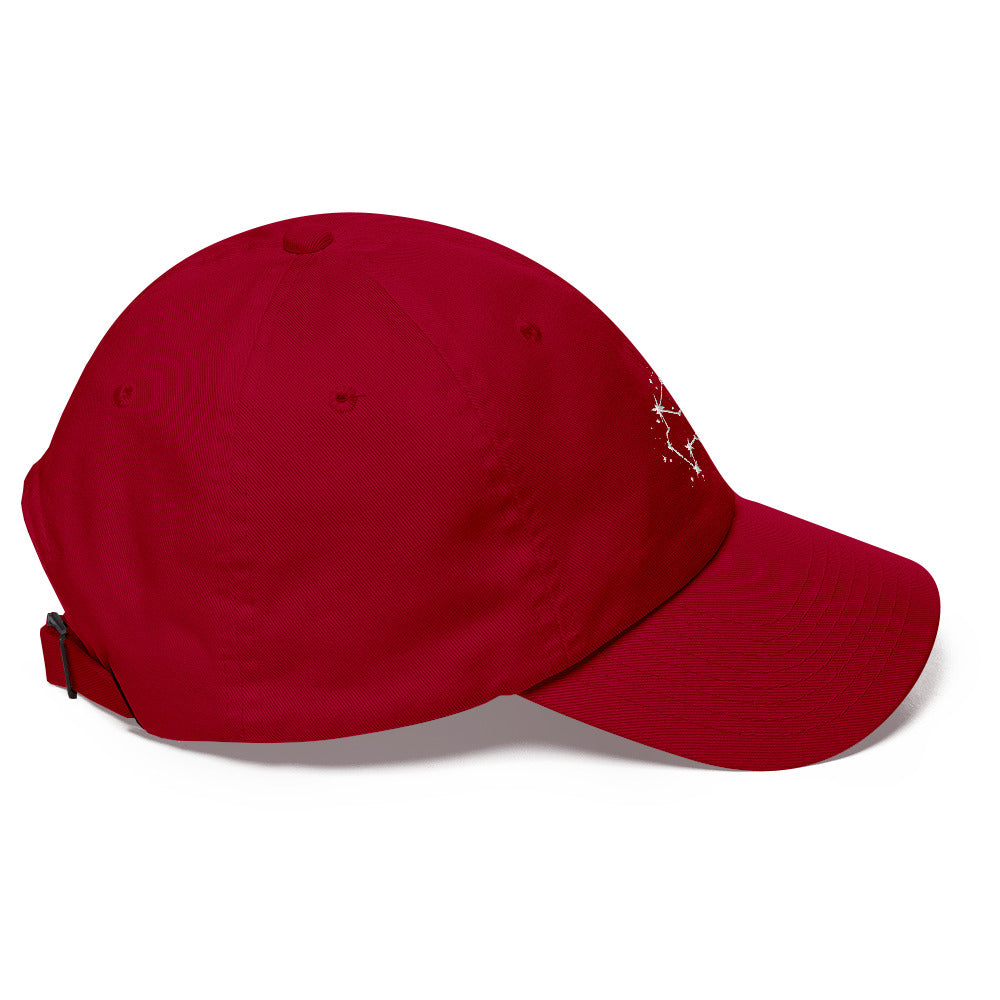 Aquarius Constellation Hat