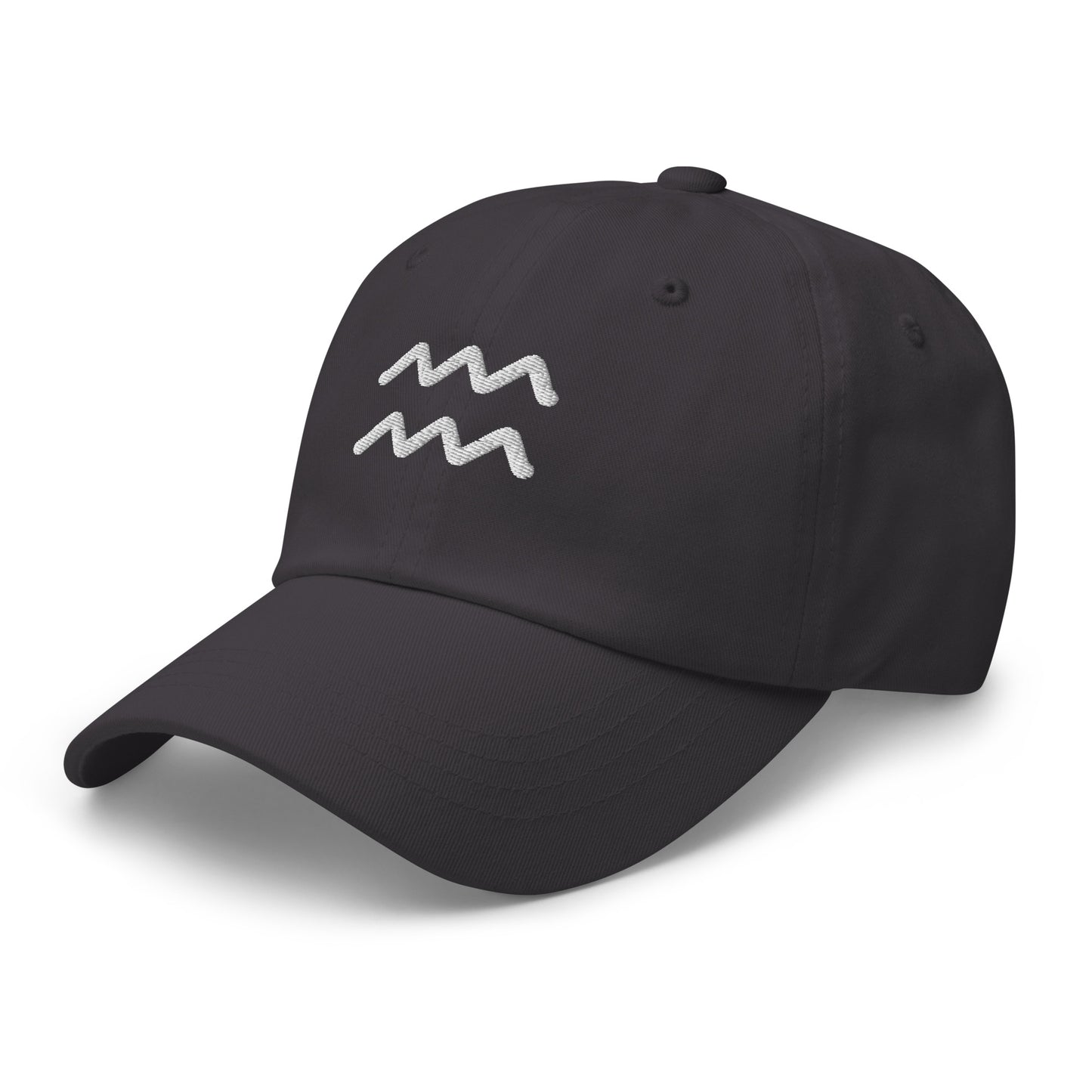 Essential Aquarius Hat