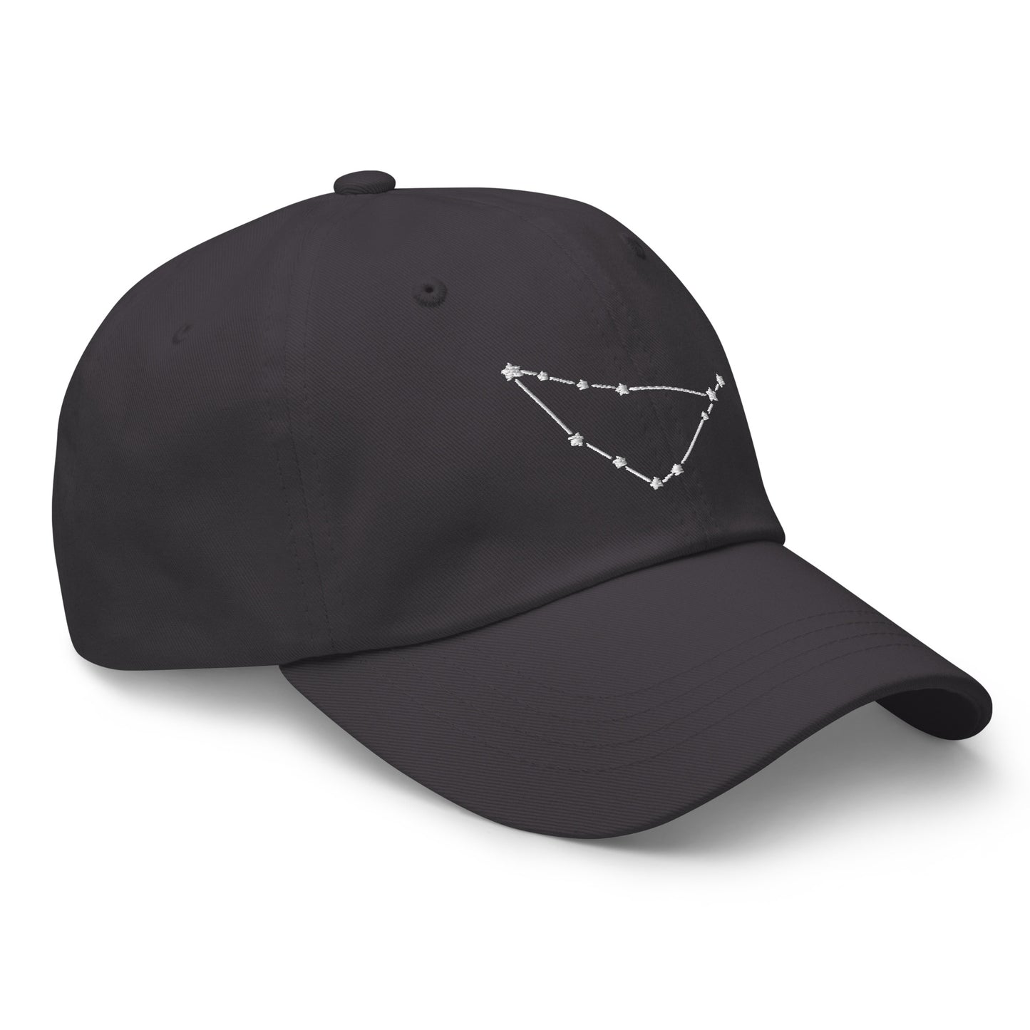 Capricorn Constellation Hat