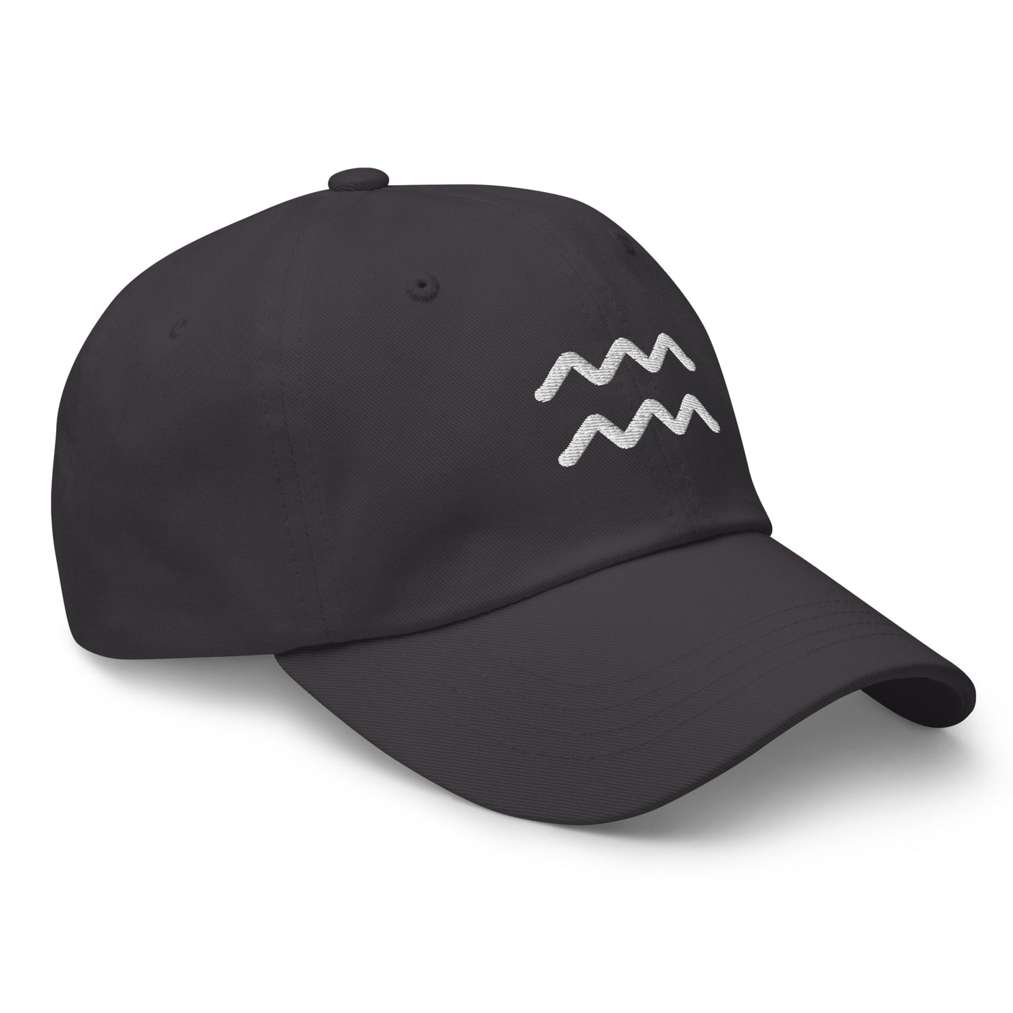 Essential Aquarius Hat