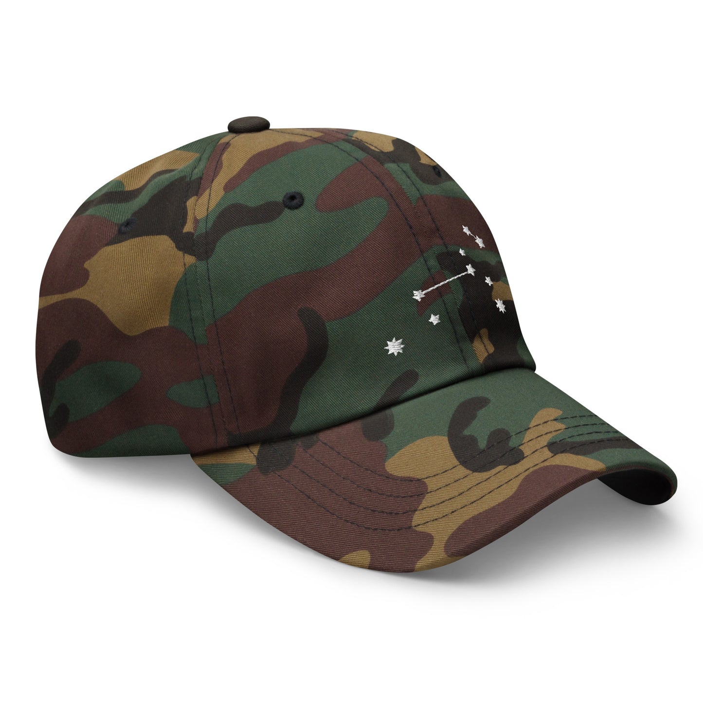 Constellation Leo Hat