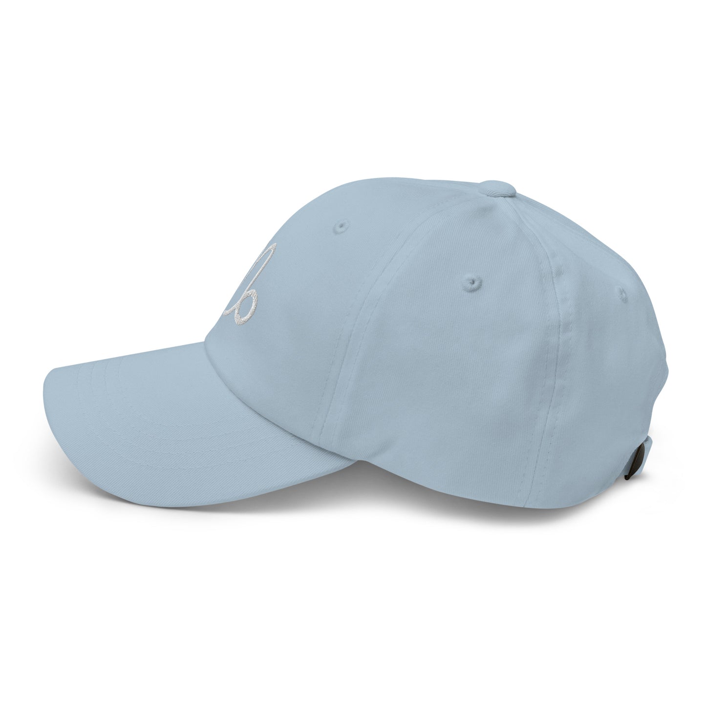 Essential Capricorn Hat