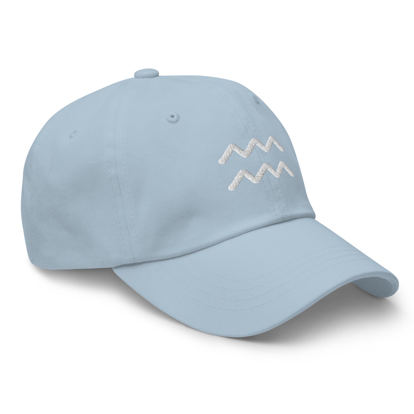 Essential Aquarius Hat