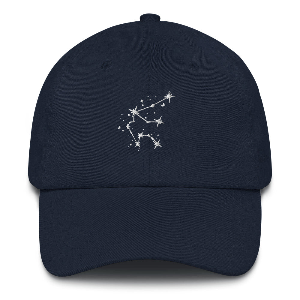 Aquarius Constellation Hat
