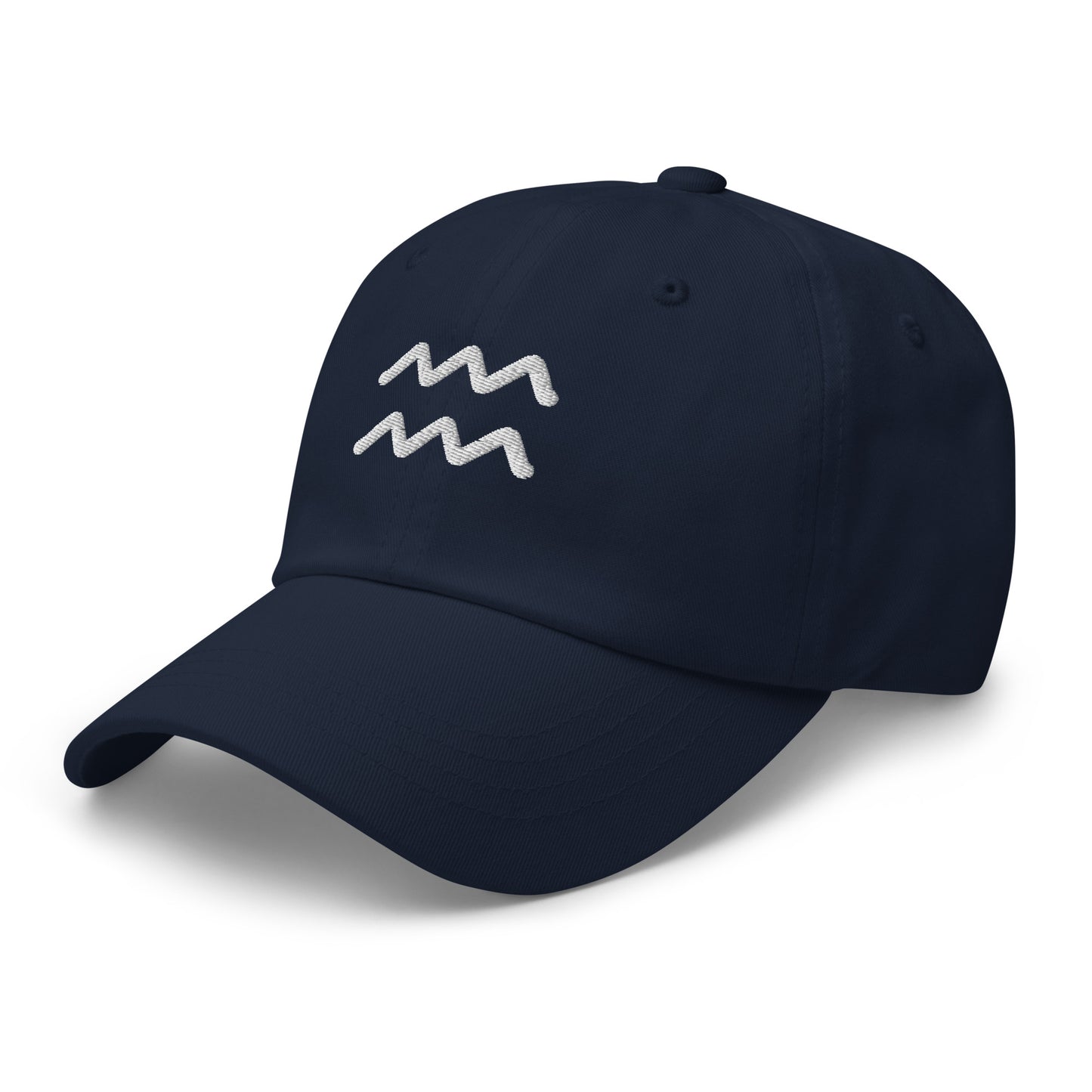 Essential Aquarius Hat