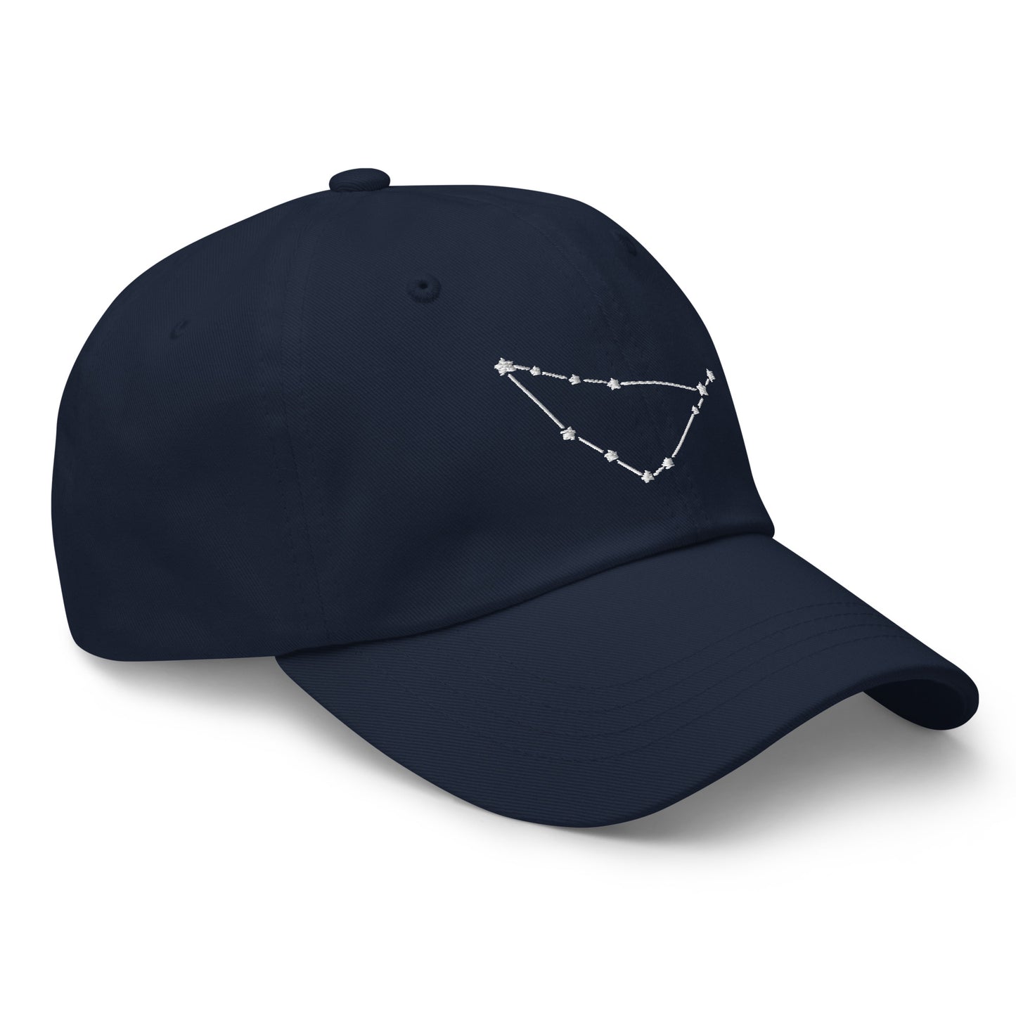 Capricorn Constellation Hat