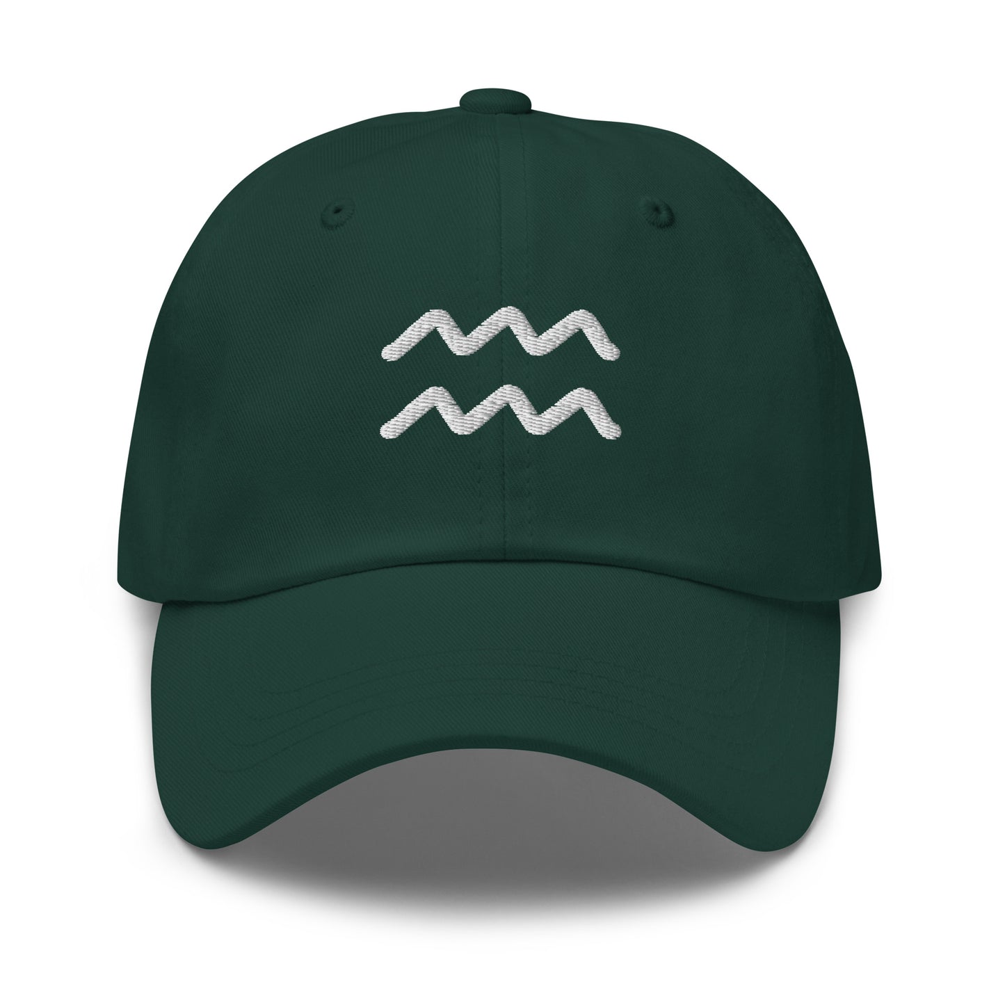 Essential Aquarius Hat