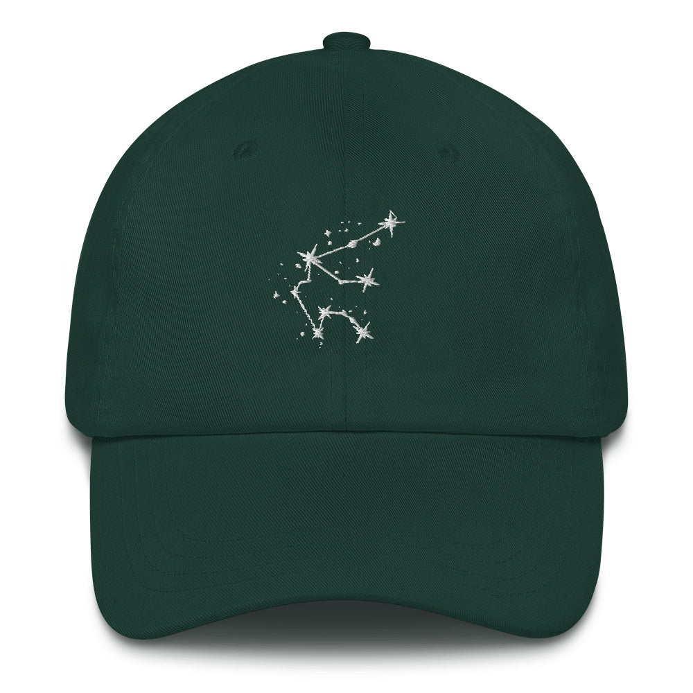Aquarius Constellation Hat