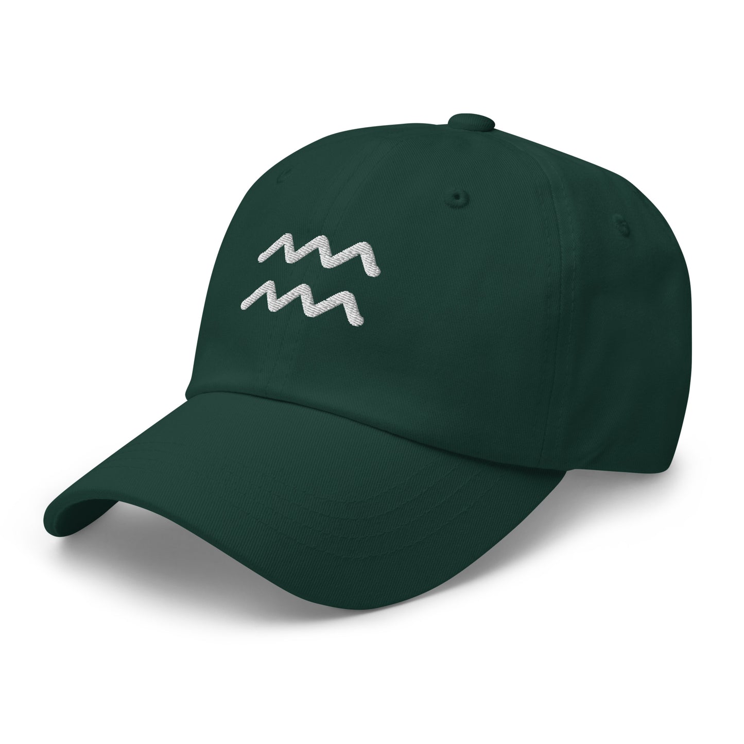 Essential Aquarius Hat