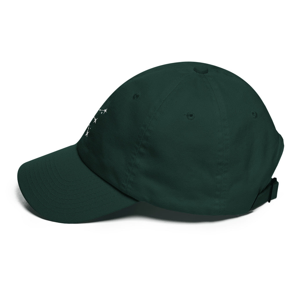 Aquarius Constellation Hat
