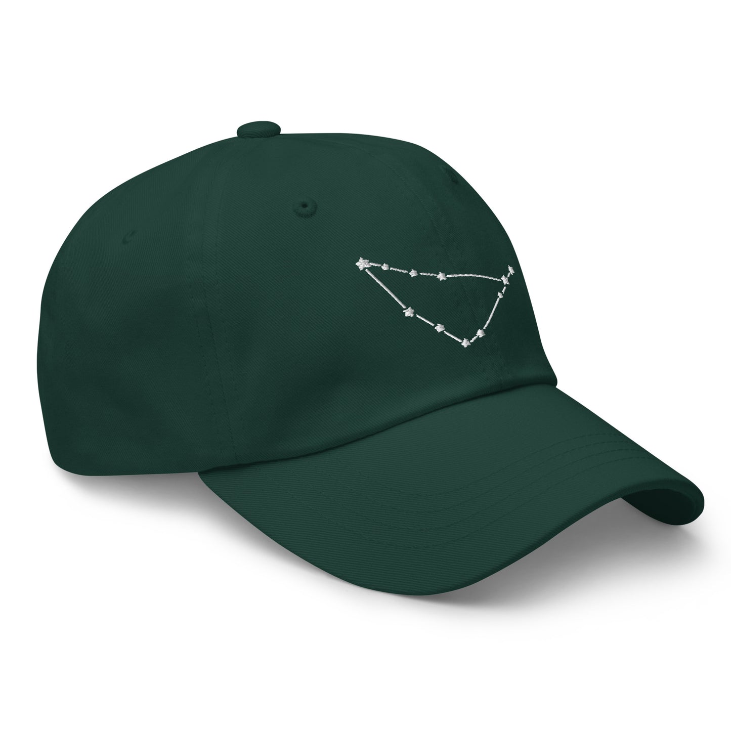 Capricorn Constellation Hat