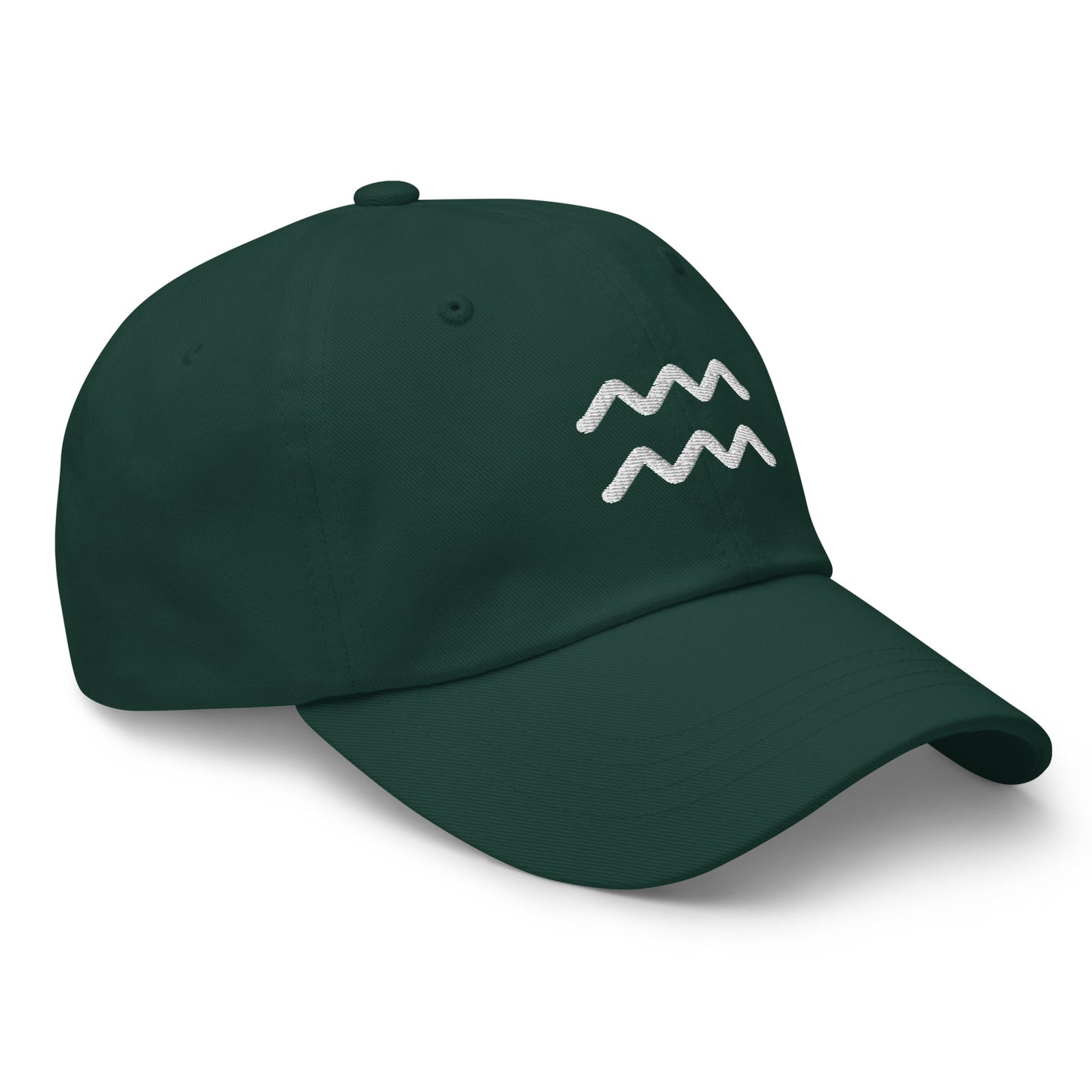 Essential Aquarius Hat