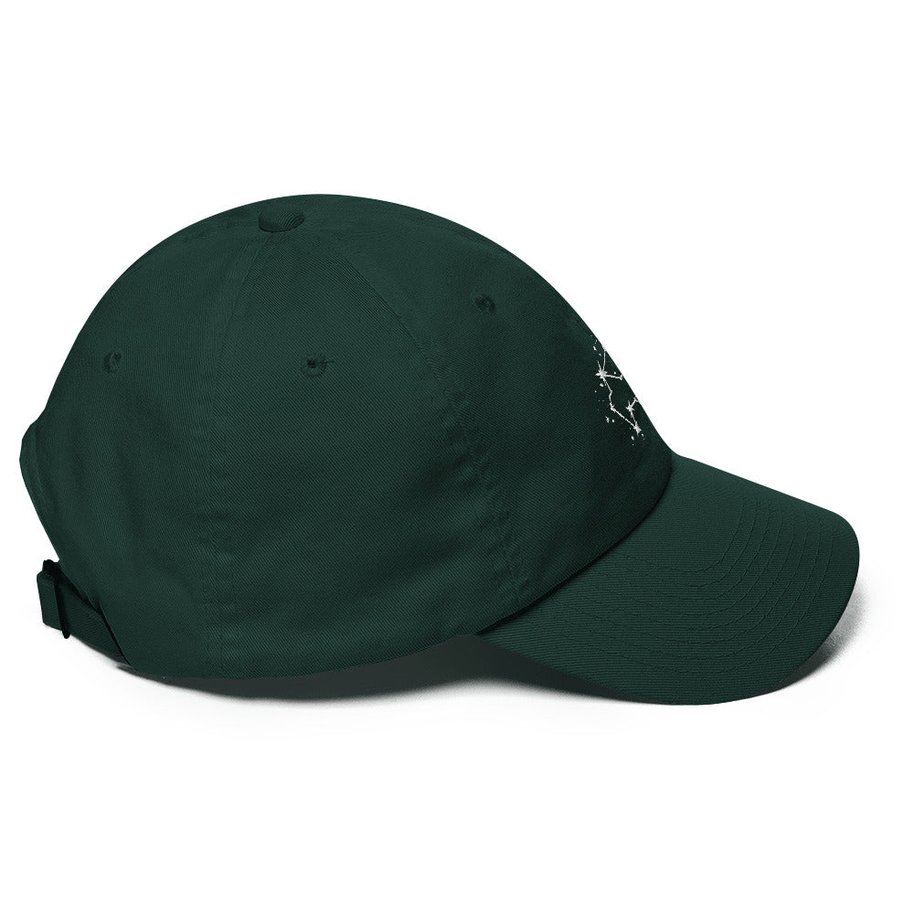 Aquarius Constellation Hat