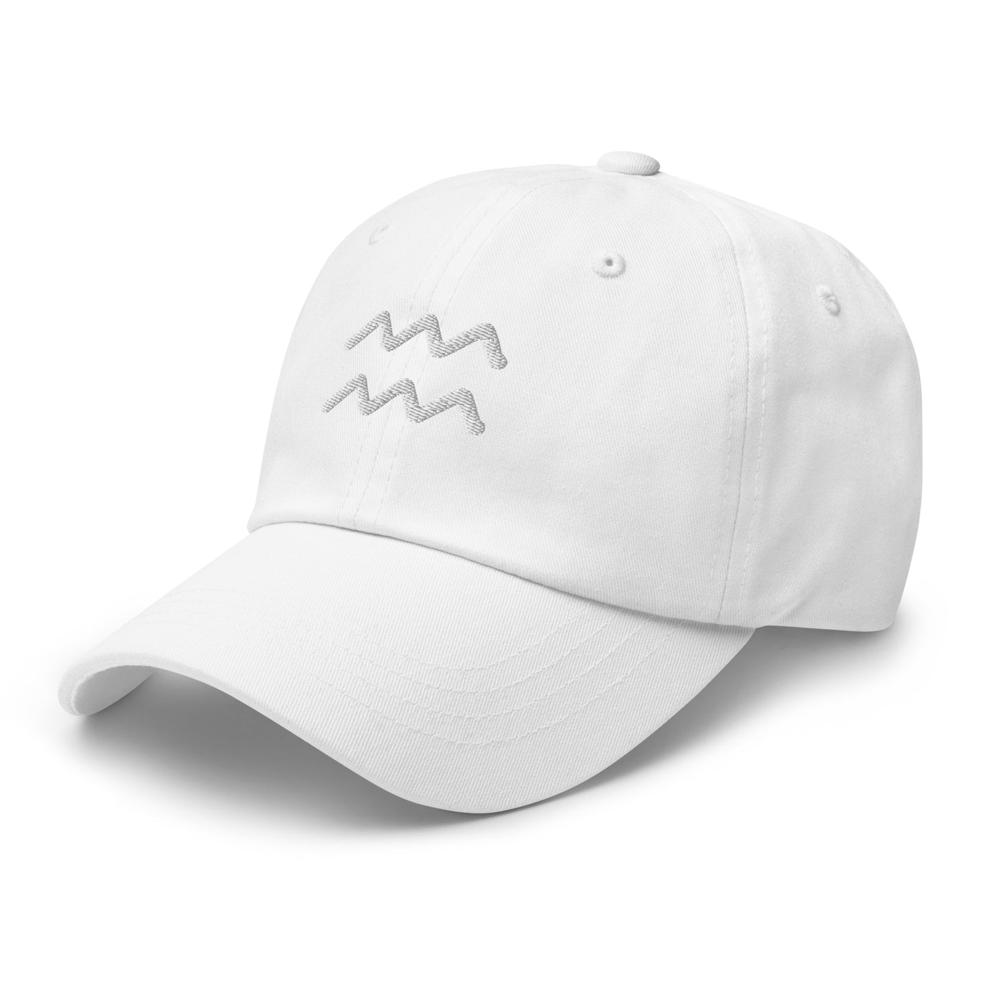 Essential Aquarius Hat