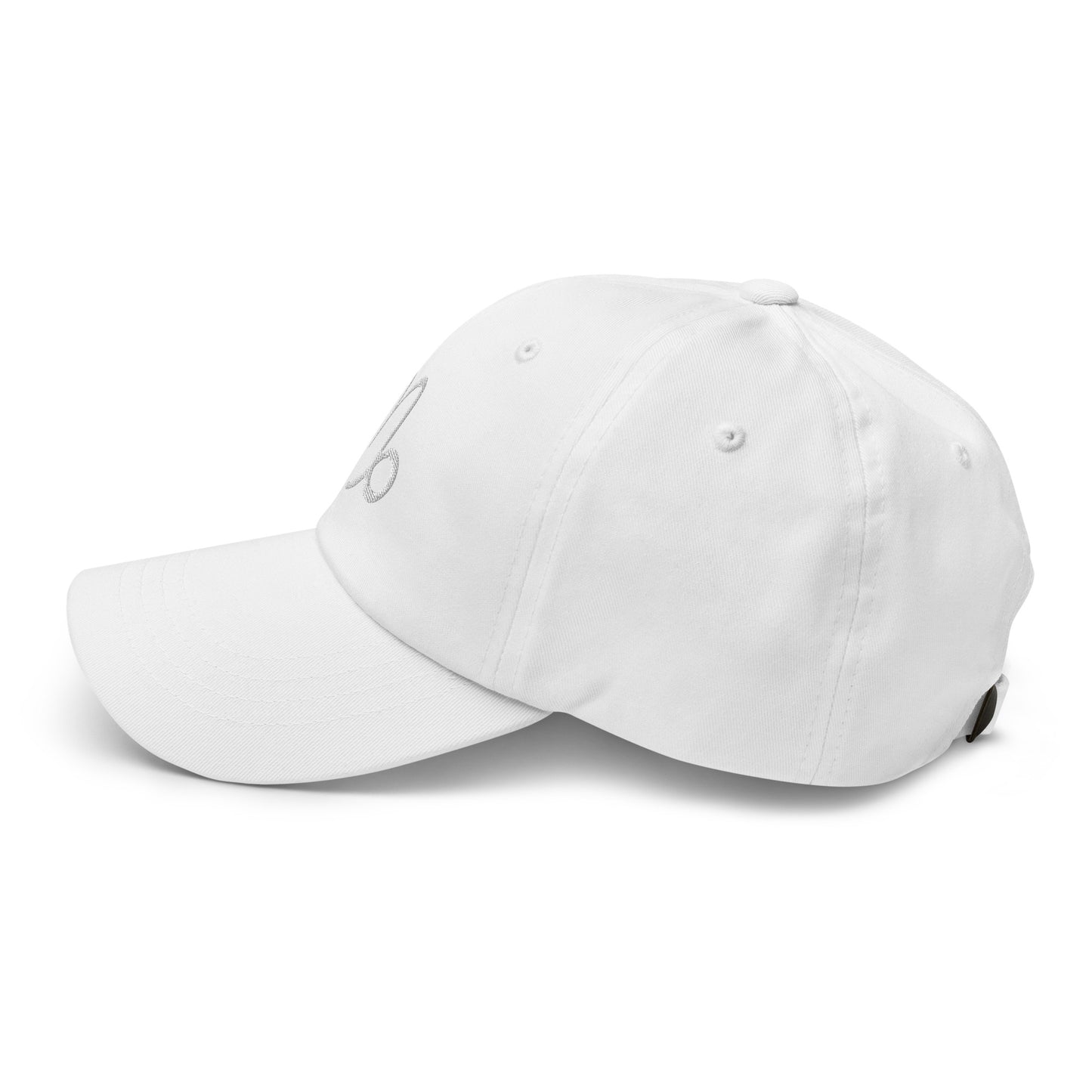Essential Capricorn Hat