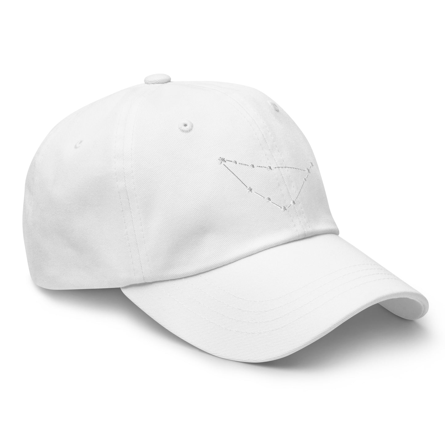 Capricorn Constellation Hat