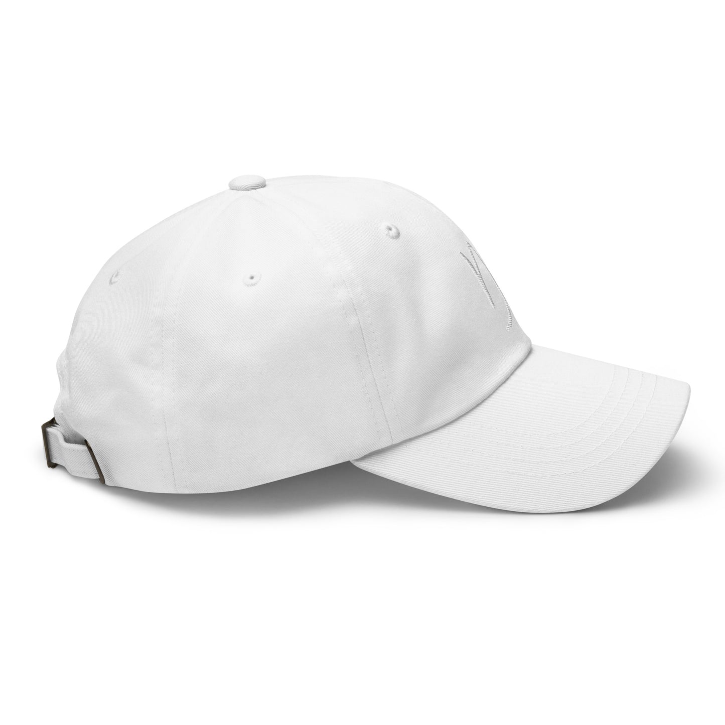 Essential Capricorn Hat