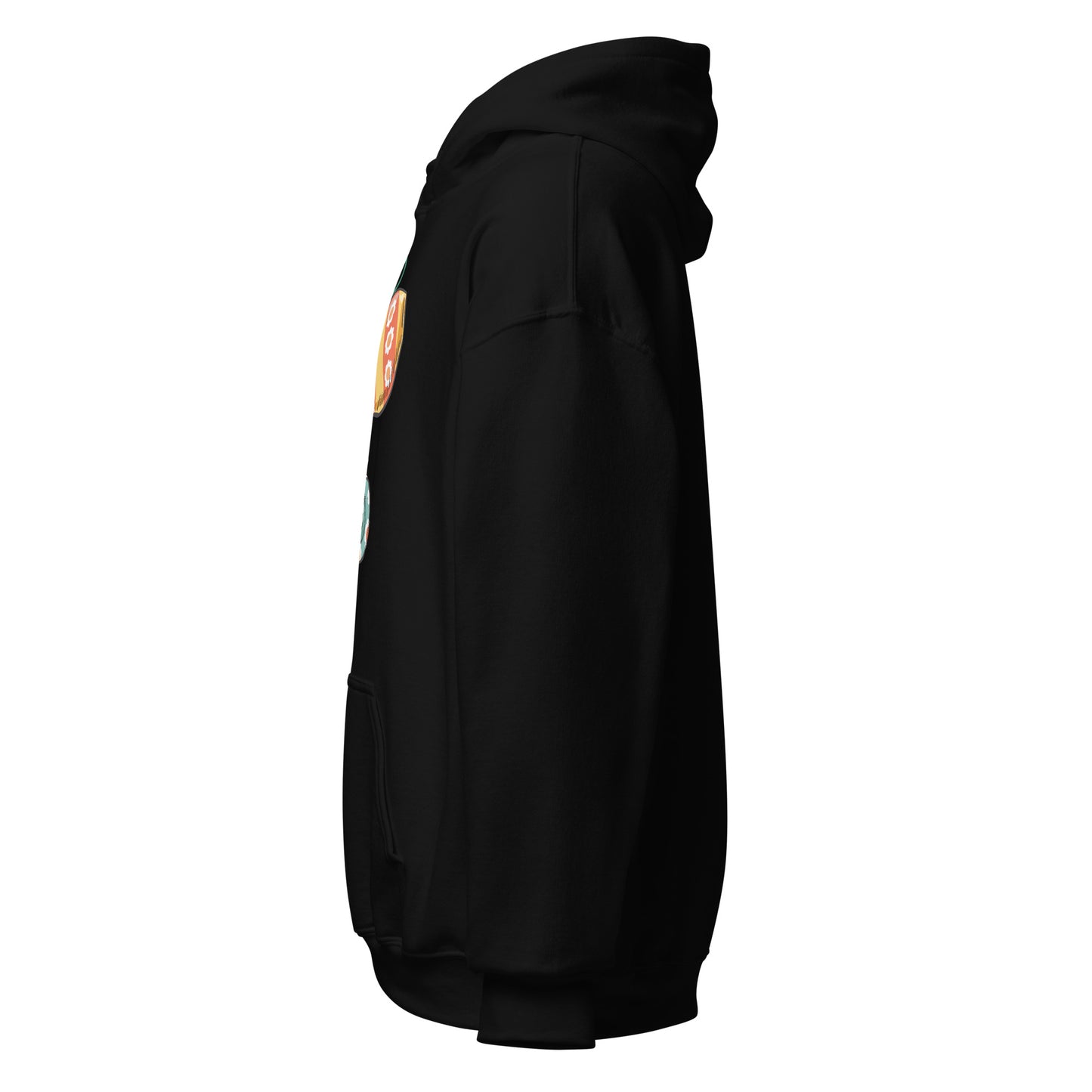 Water-Bearer Aquarius Hoodie