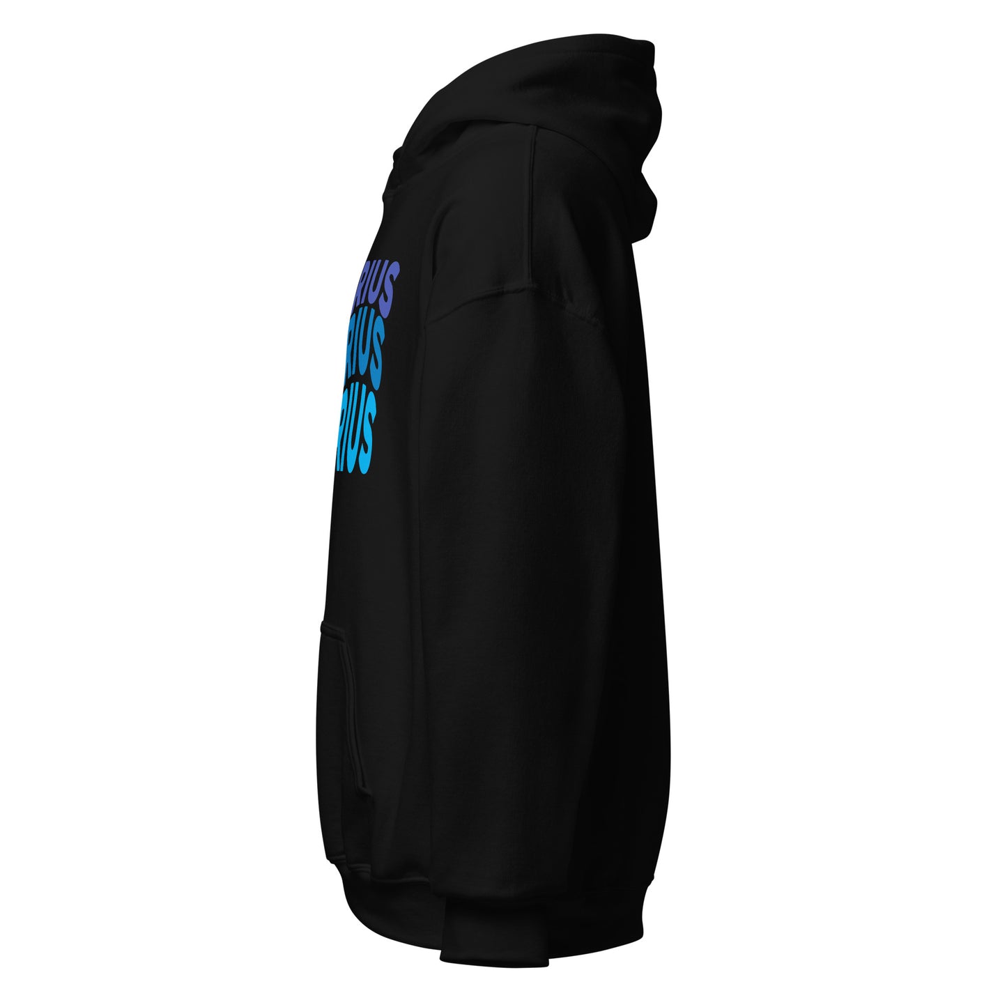 Air Vibes Aquarius Hoodie