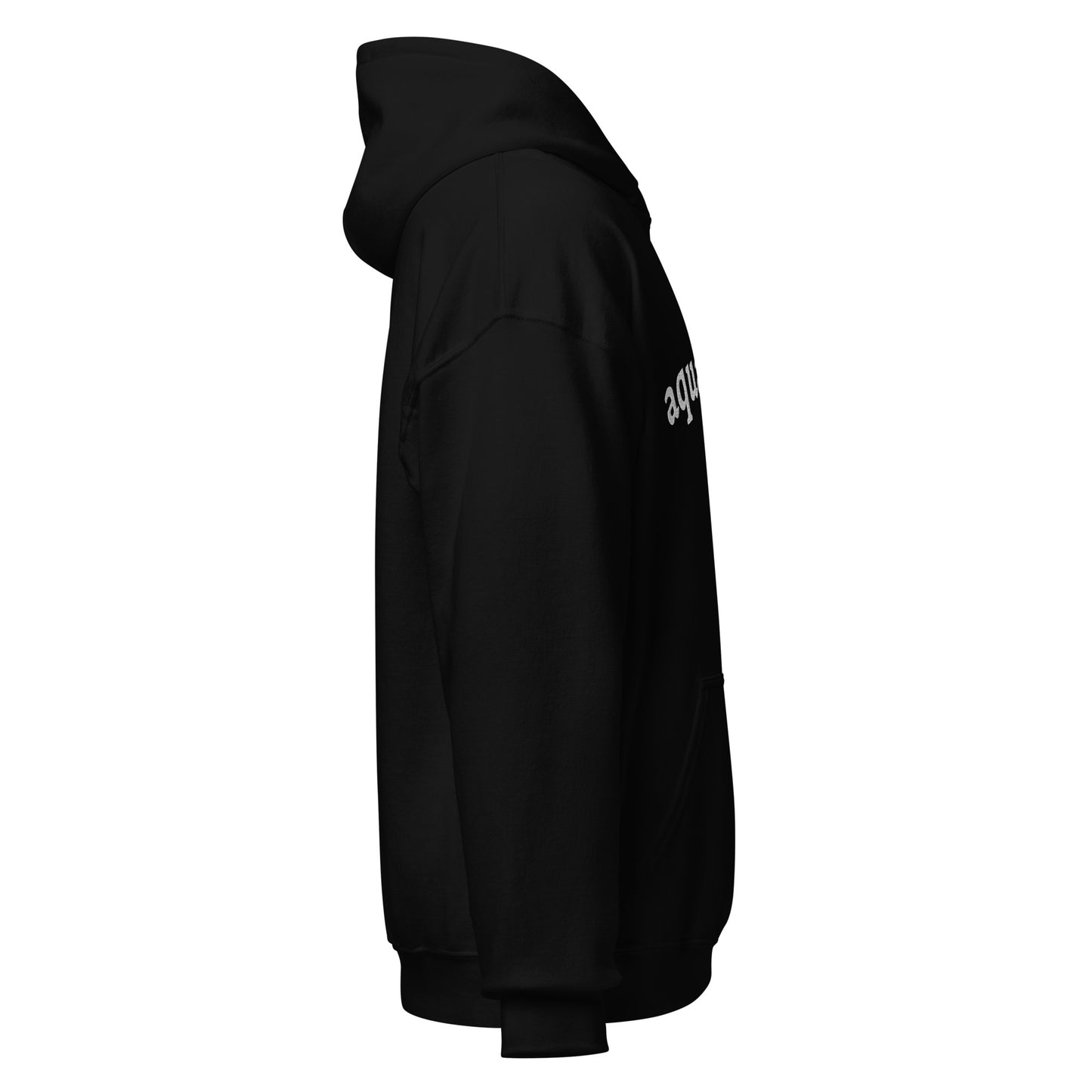Embroidered Aquarius Hoodie