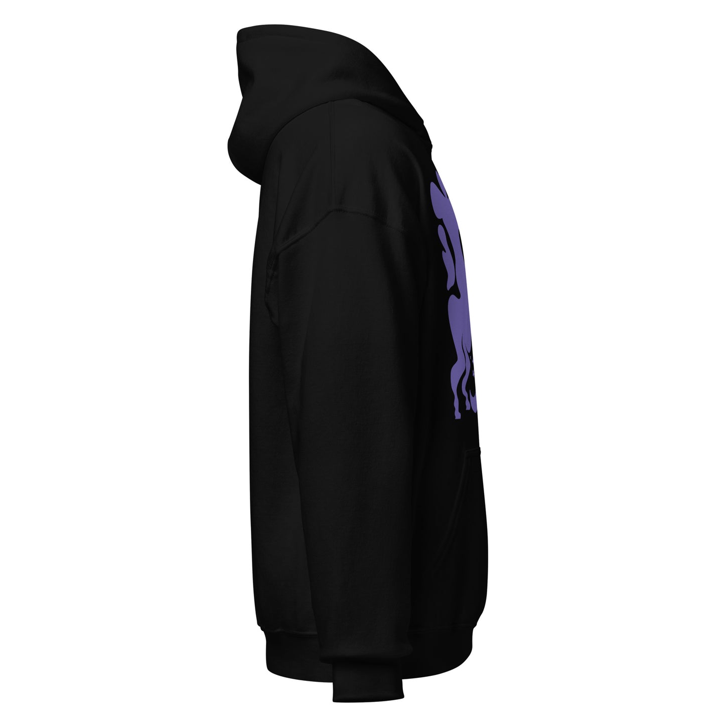 Morphed Sagittarius Hoodie