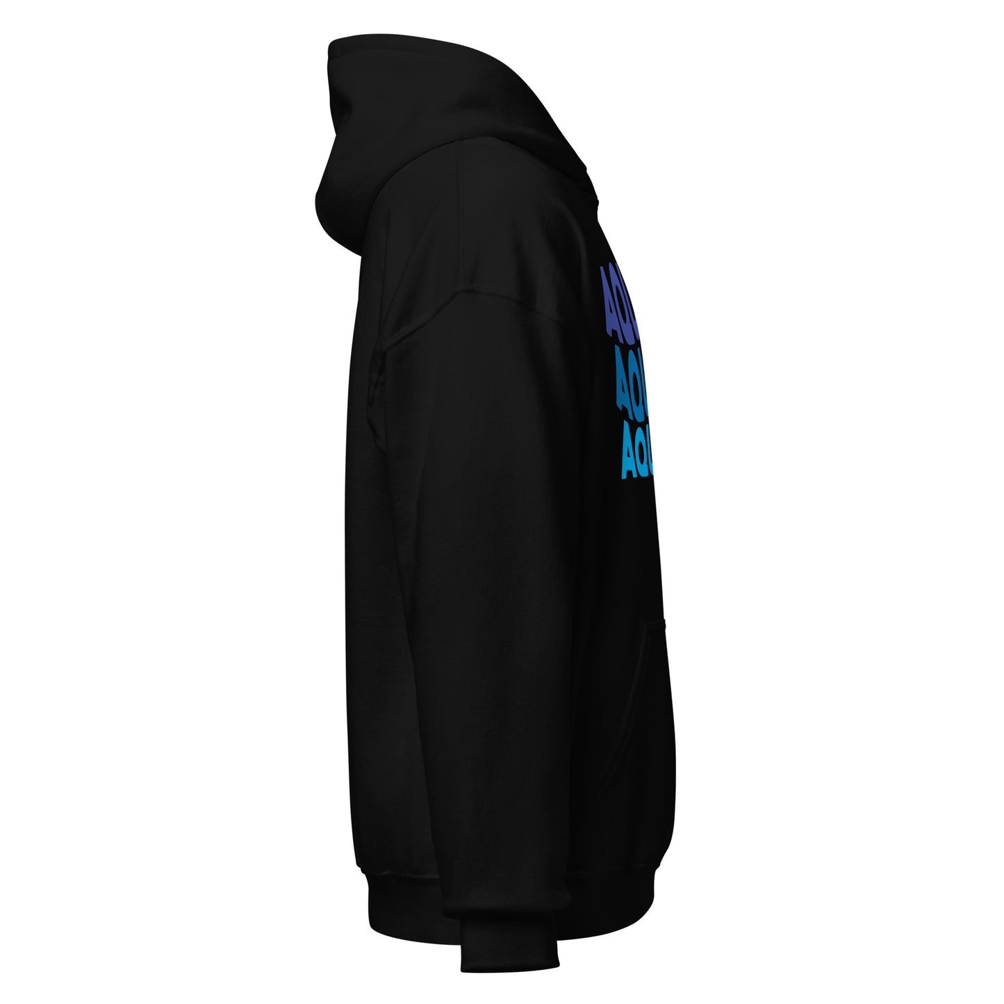 Air Vibes Aquarius Hoodie