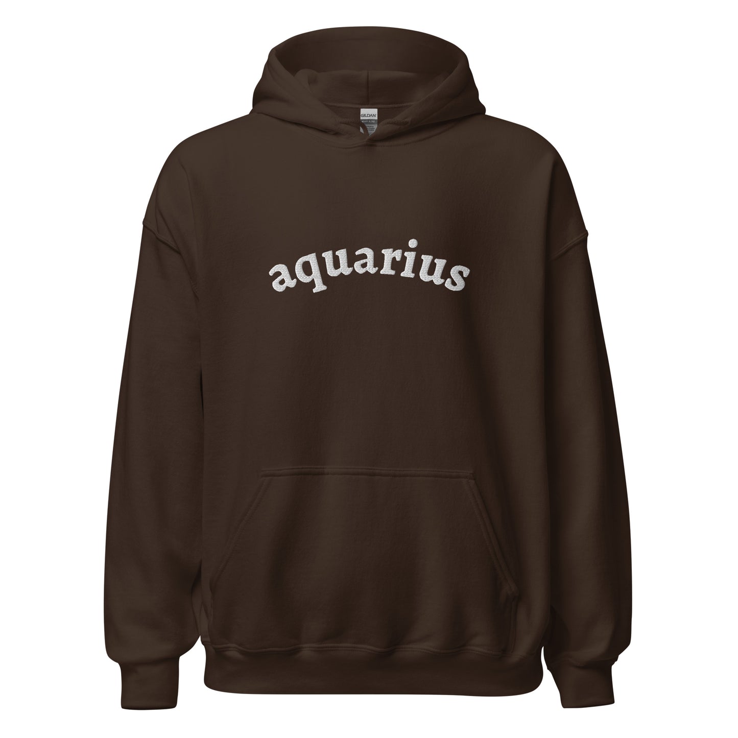 Embroidered Aquarius Hoodie