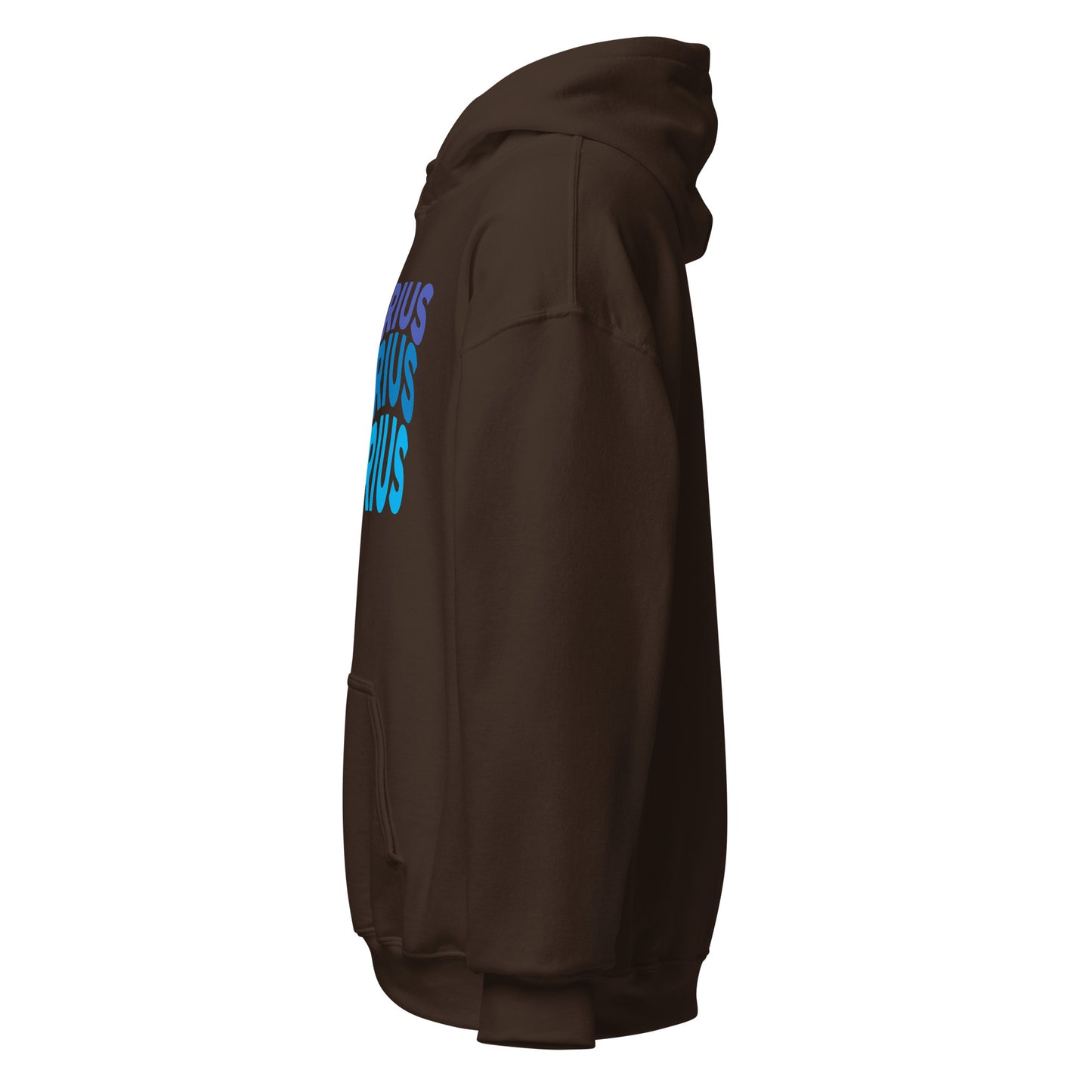 Air Vibes Aquarius Hoodie