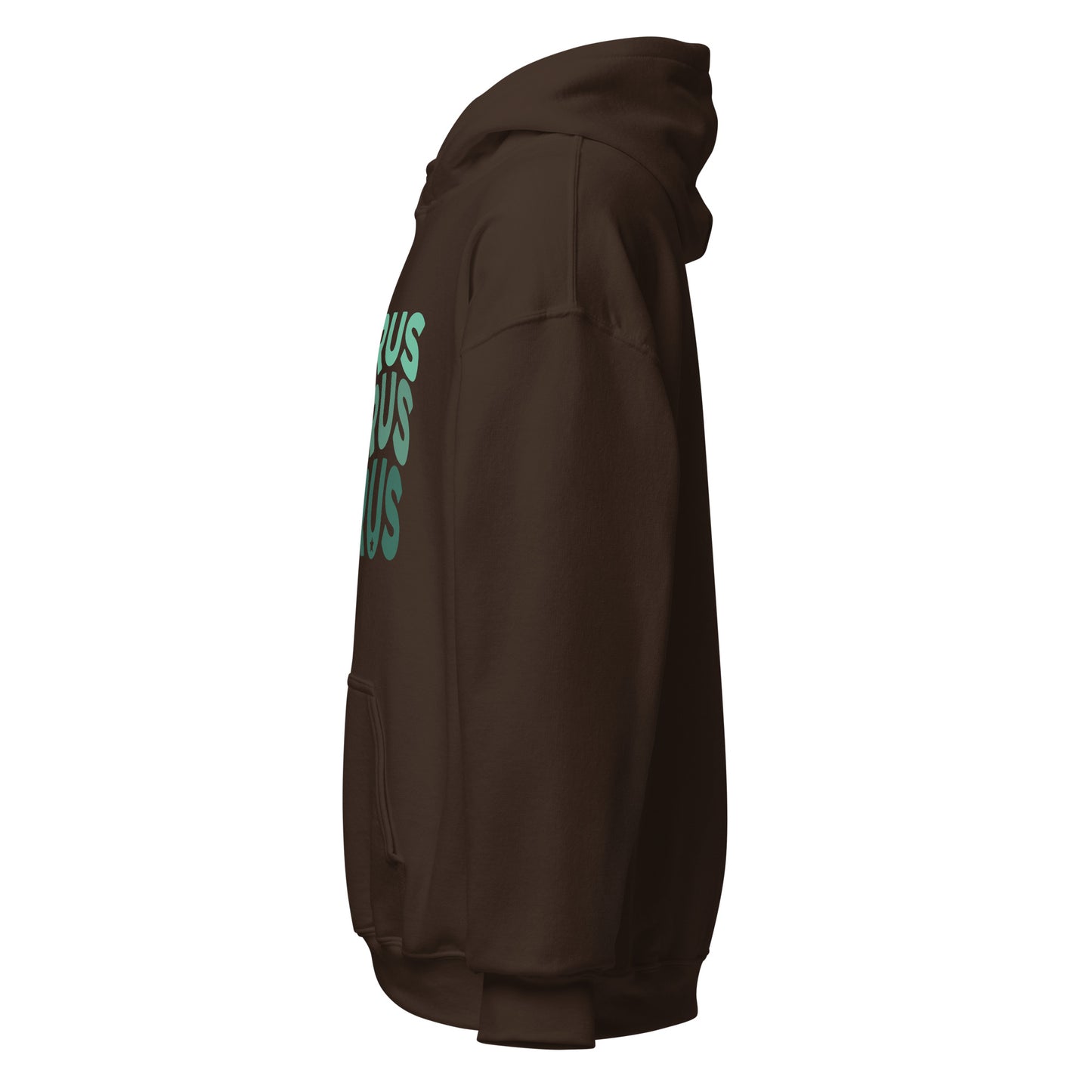 Earth Vibes Taurus Hoodie