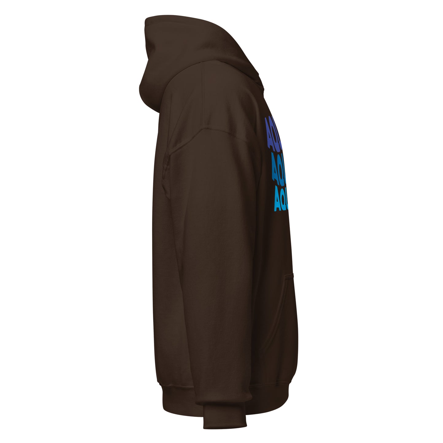 Air Vibes Aquarius Hoodie