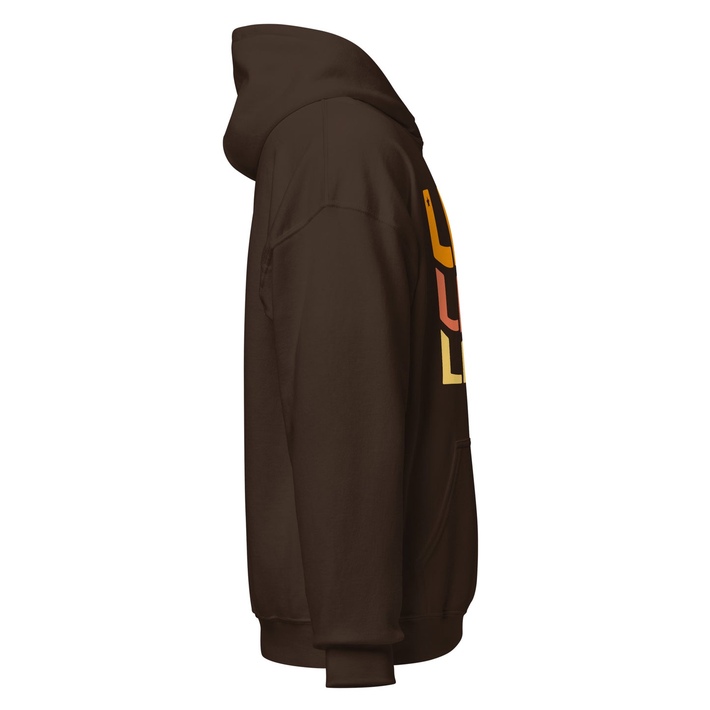 Fire Vibes Leo Hoodie