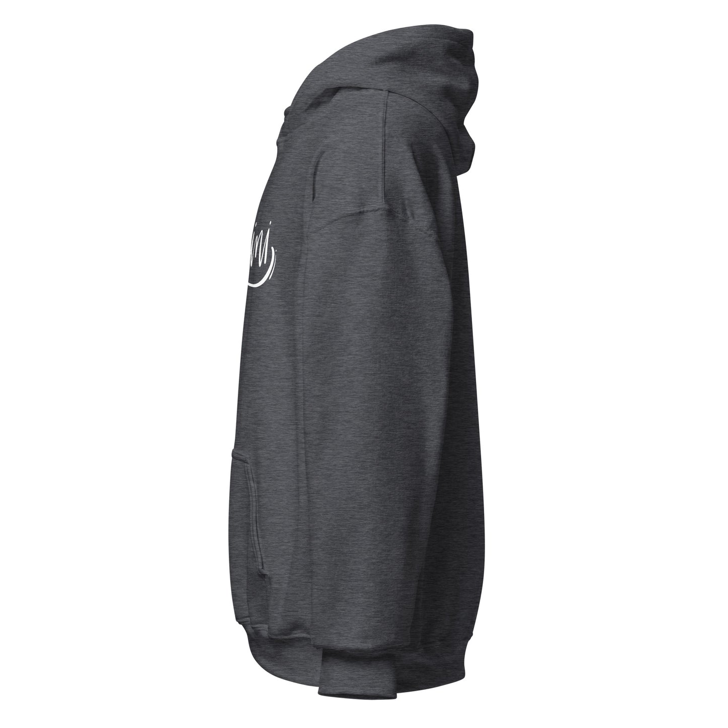Its Me, Gemini Hoodie