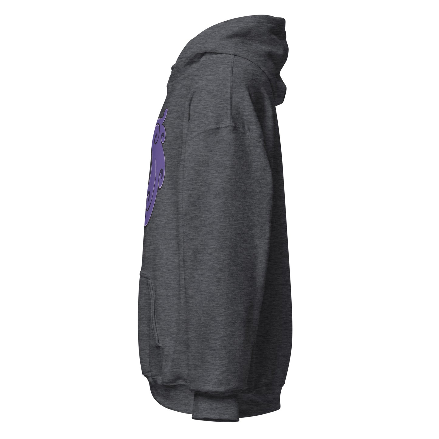 Traditions Aquarius Hoodie