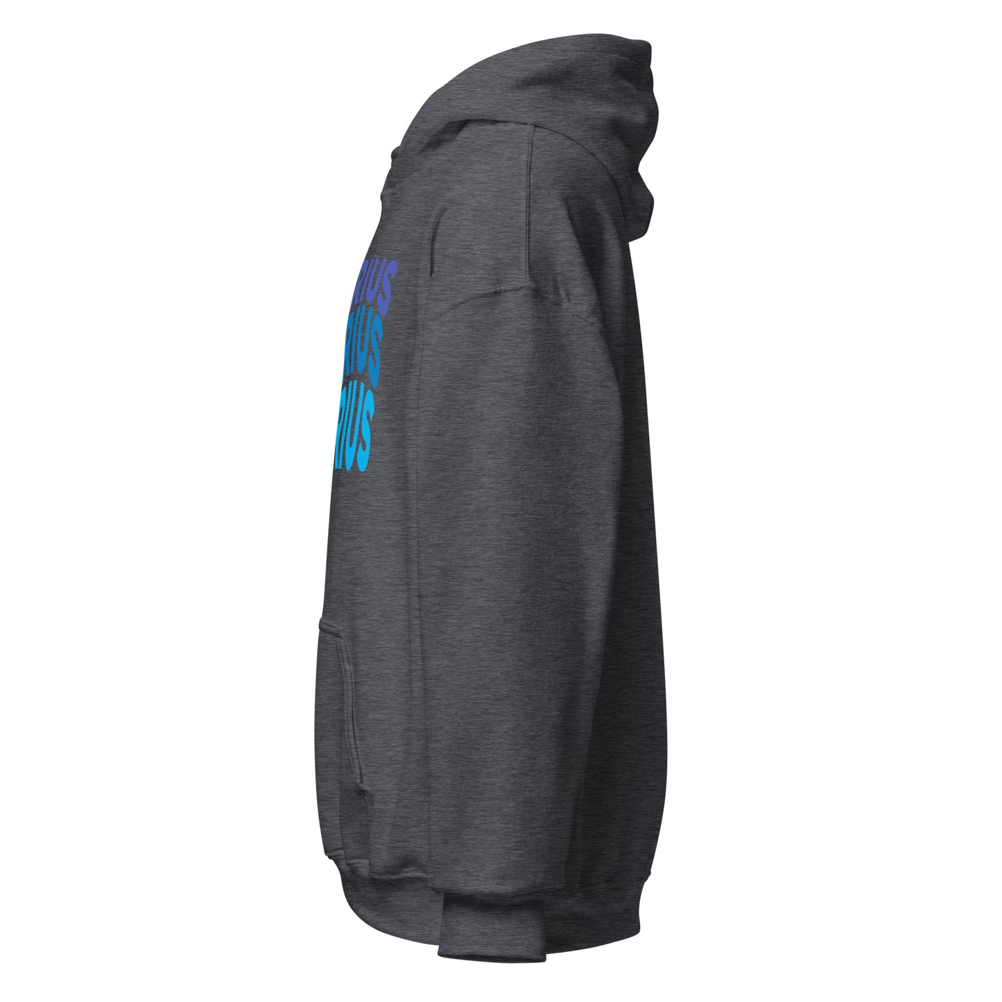 Air Vibes Aquarius Hoodie