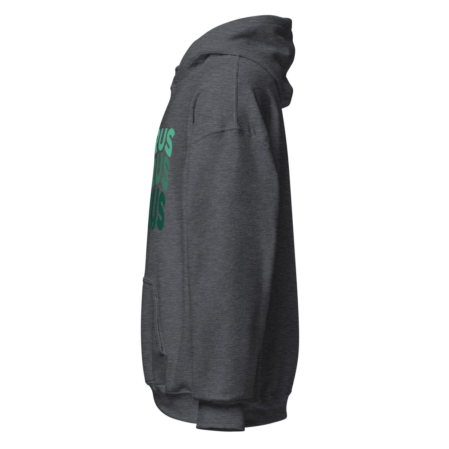 Earth Vibes Taurus Hoodie