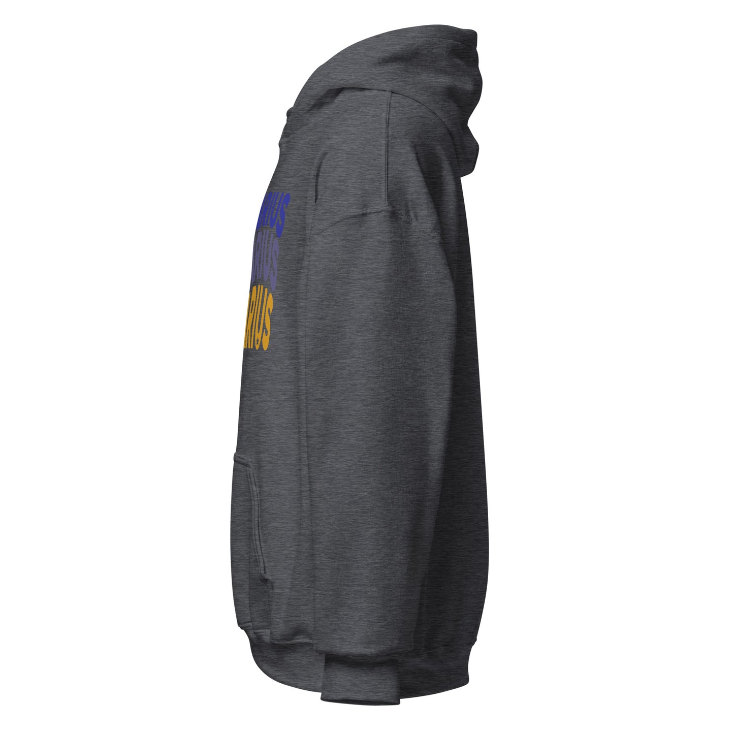 Fire Vibes Sagittarius Hoodie