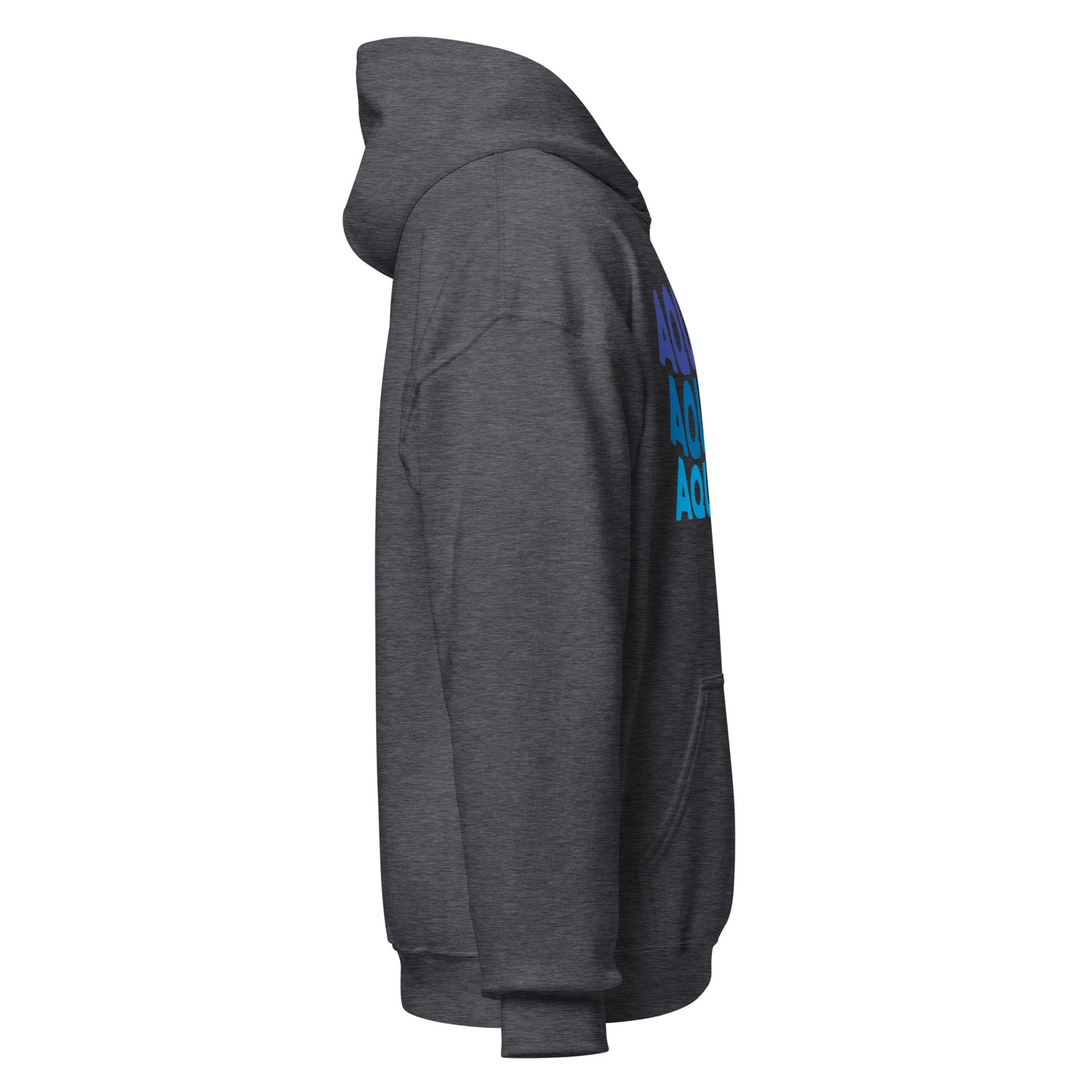Air Vibes Aquarius Hoodie