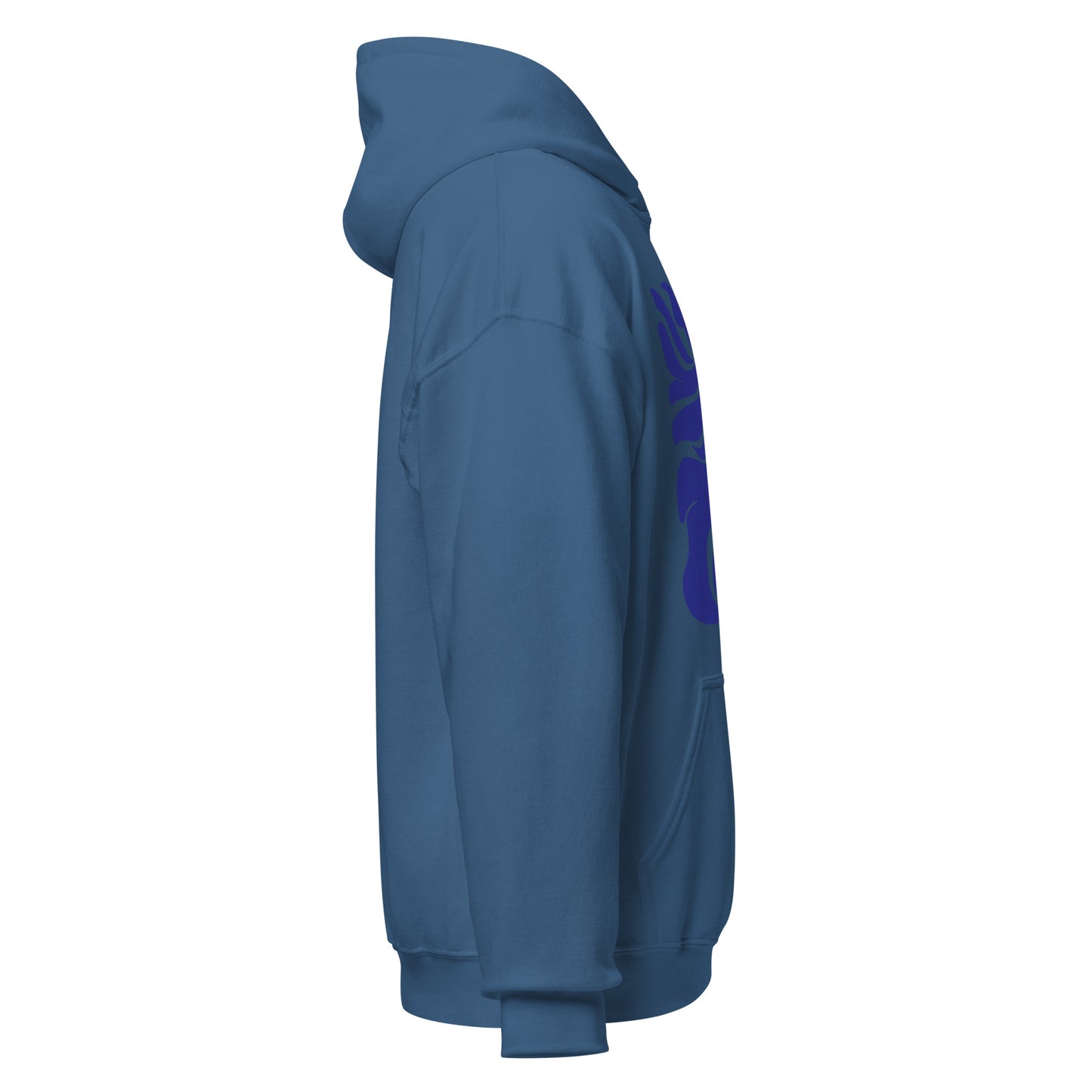 Morphed Aquarius Hoodie