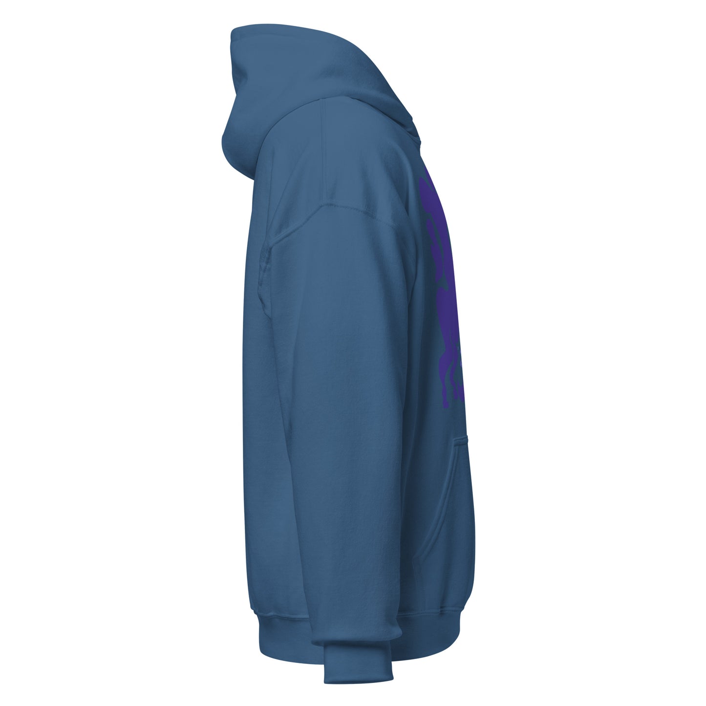 Morphed Sagittarius Hoodie