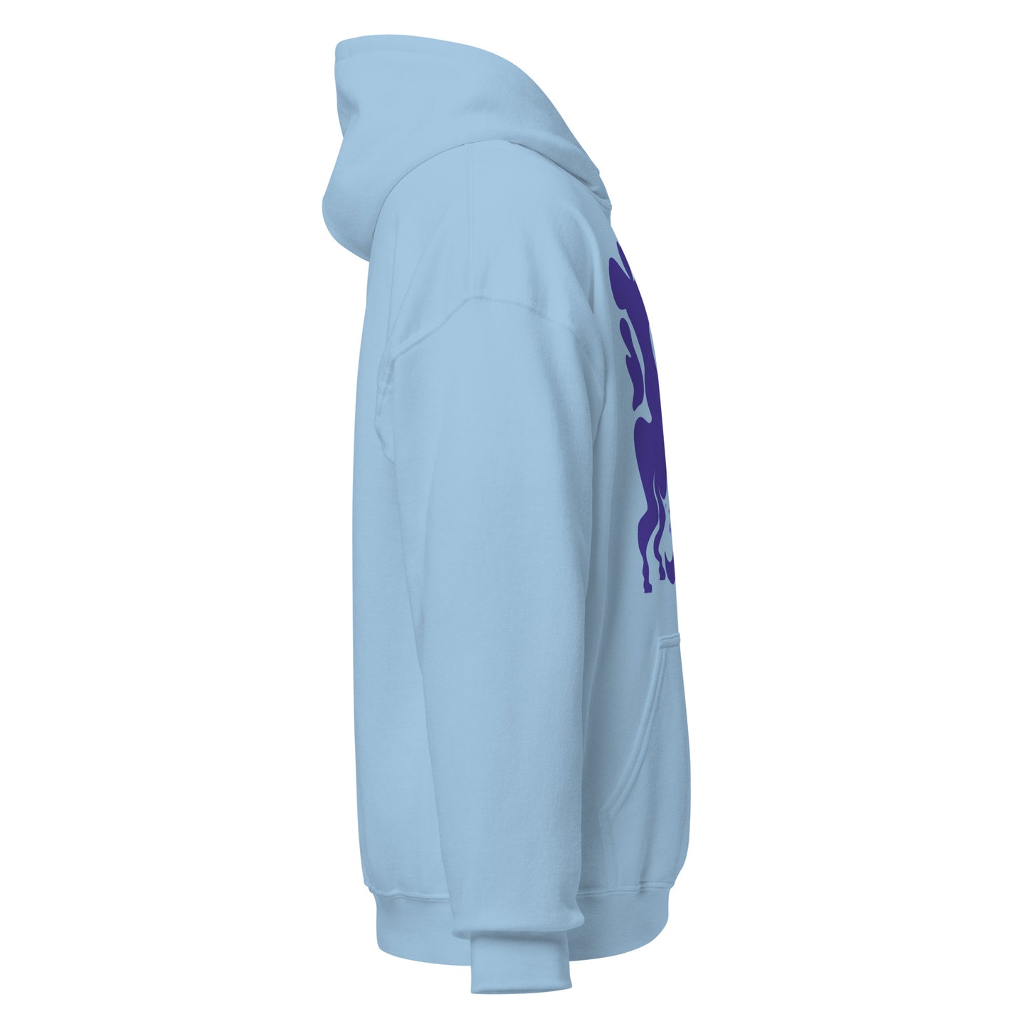 Morphed Sagittarius Hoodie