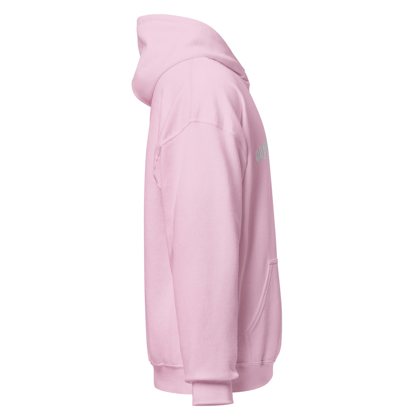 Capricorn Embroidered Hoodie